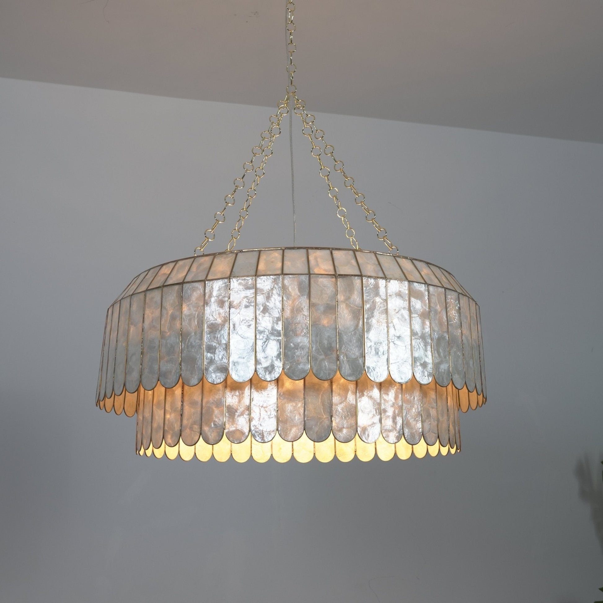 Holz Gold Shell Metal Aurelia Chandelier-Neutral Decor