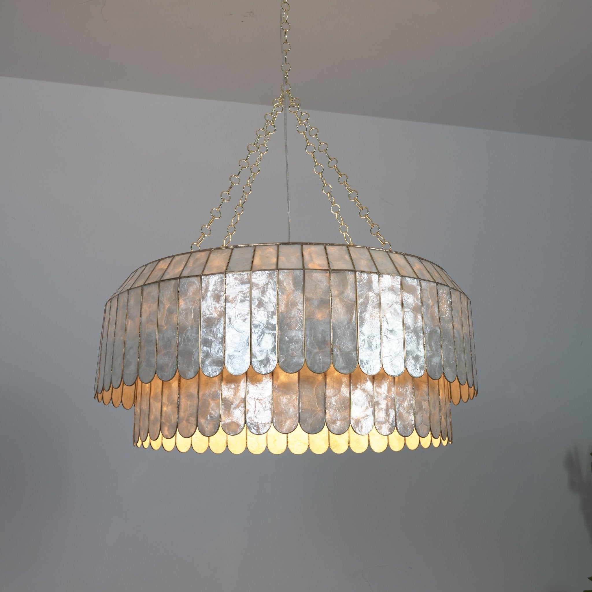 Holz Gold Shell Metal Aurelia Chandelier-Neutral Decor