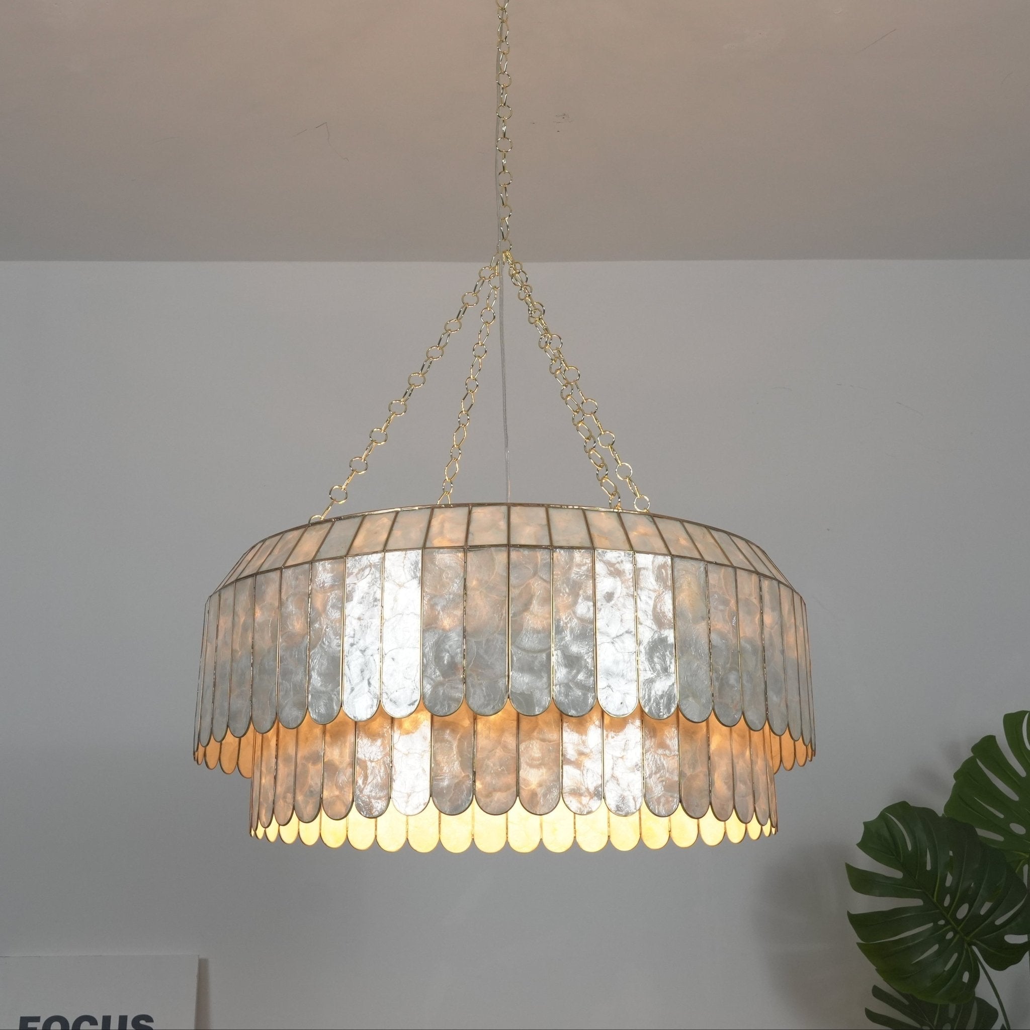 Holz Gold Shell Metal Aurelia Chandelier-Neutral Decor
