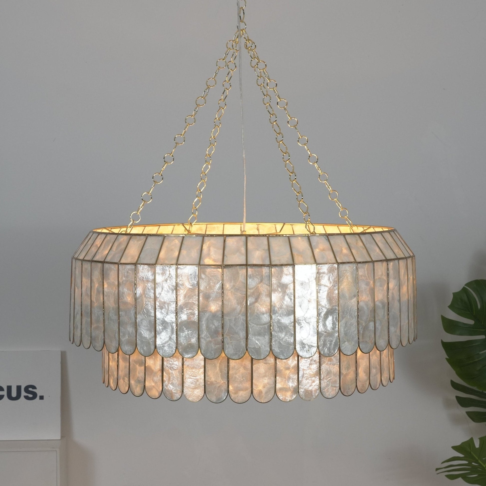 Holz Gold Shell Metal Aurelia Chandelier-Neutral Decor