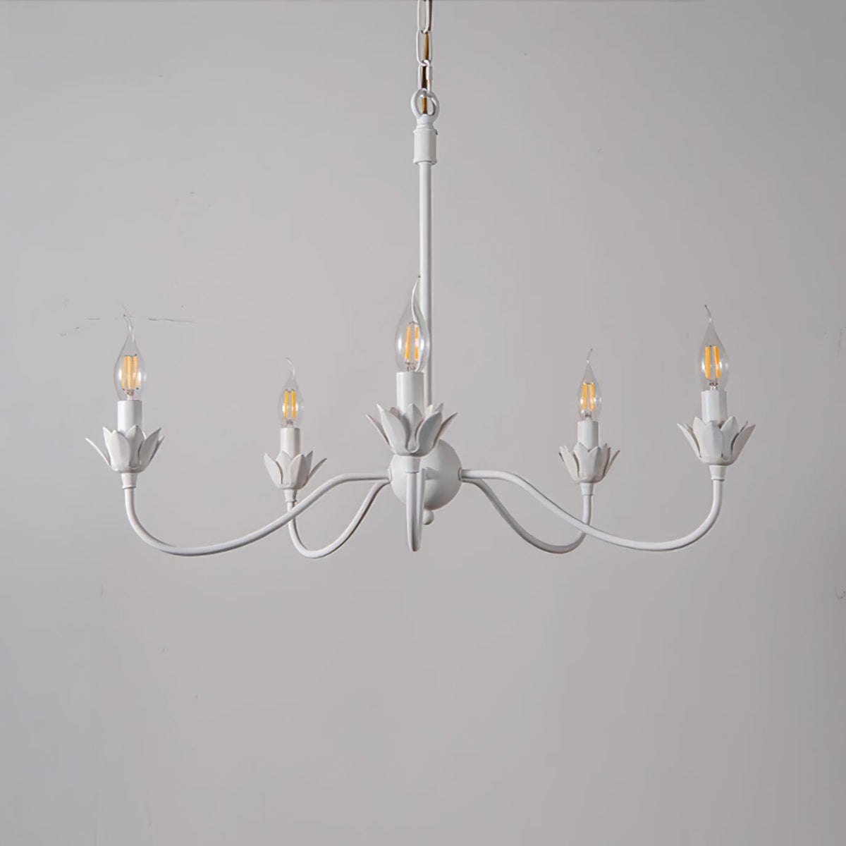 Capsule Chandelier