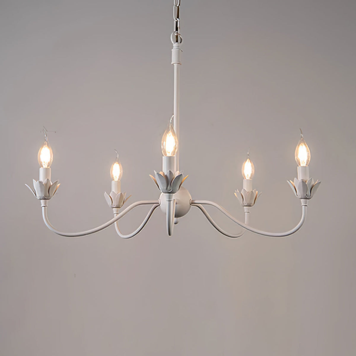 Capsule Chandelier