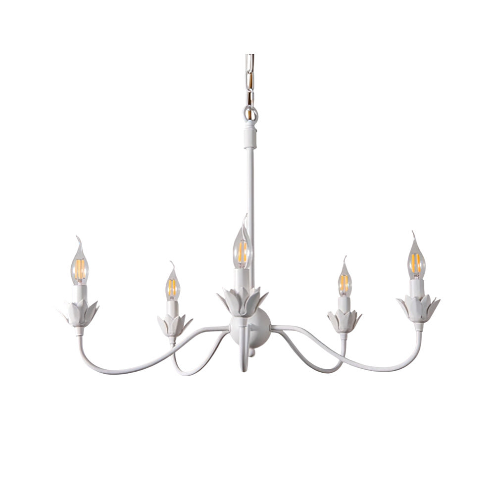 Capsule Chandelier