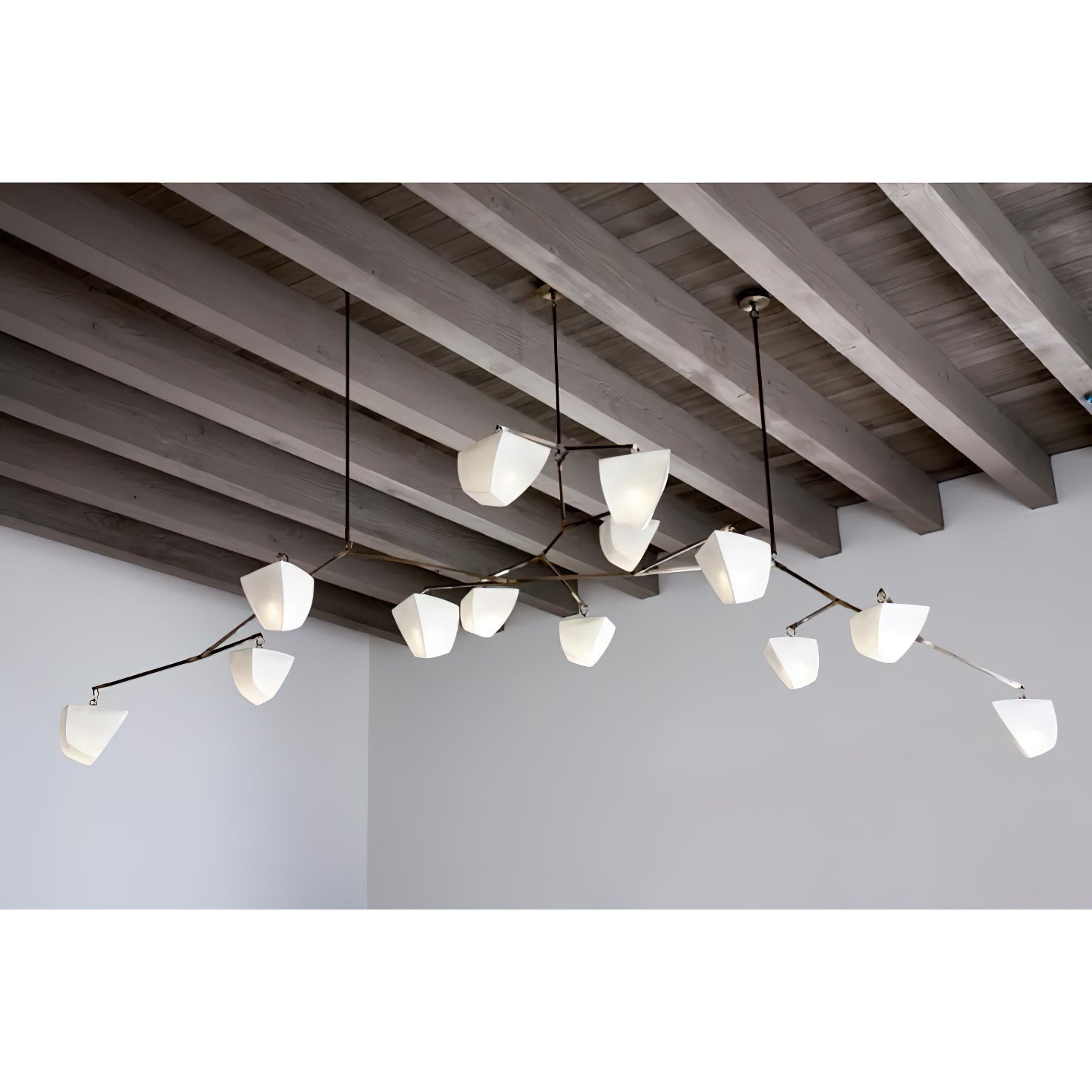 Caelum Chandelier