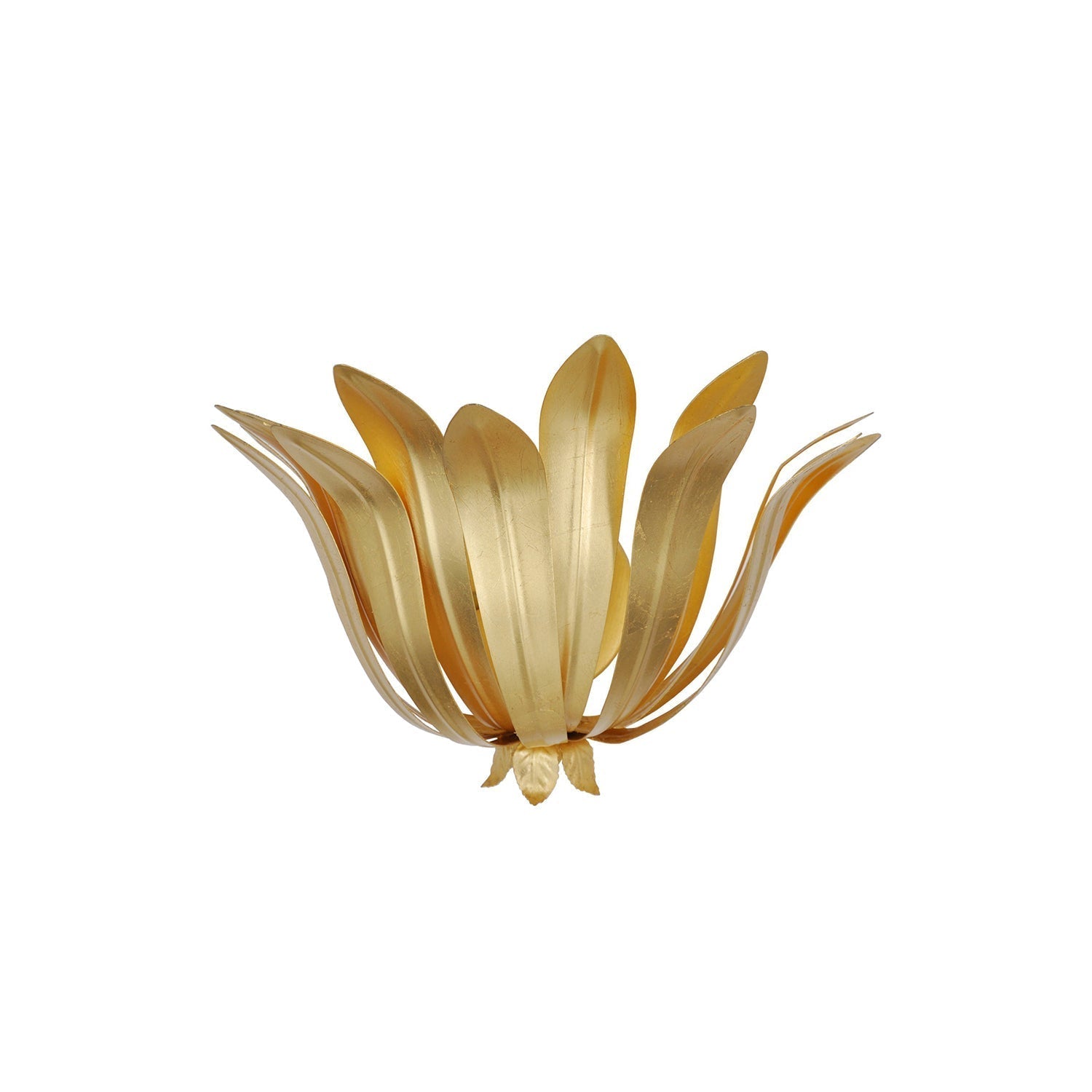 Dahlia Brass Wall Lamp