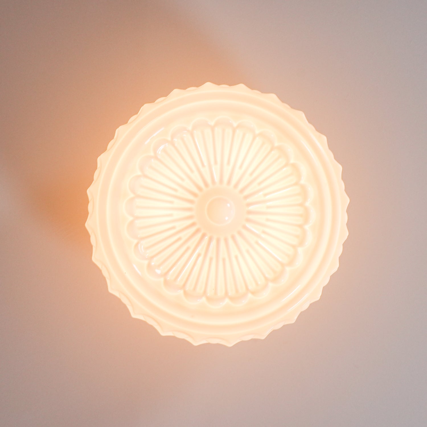 Solara Ceiling Lamp White Glass Floral for Living Room-Neutral Decor