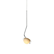 Apollo Pendant Light