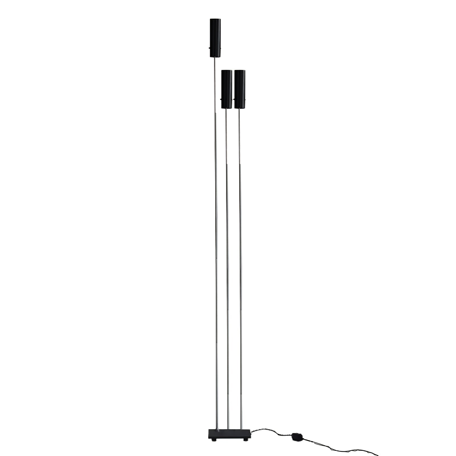 Telum Minimalist Black Floor Lamp-Neutral Decor