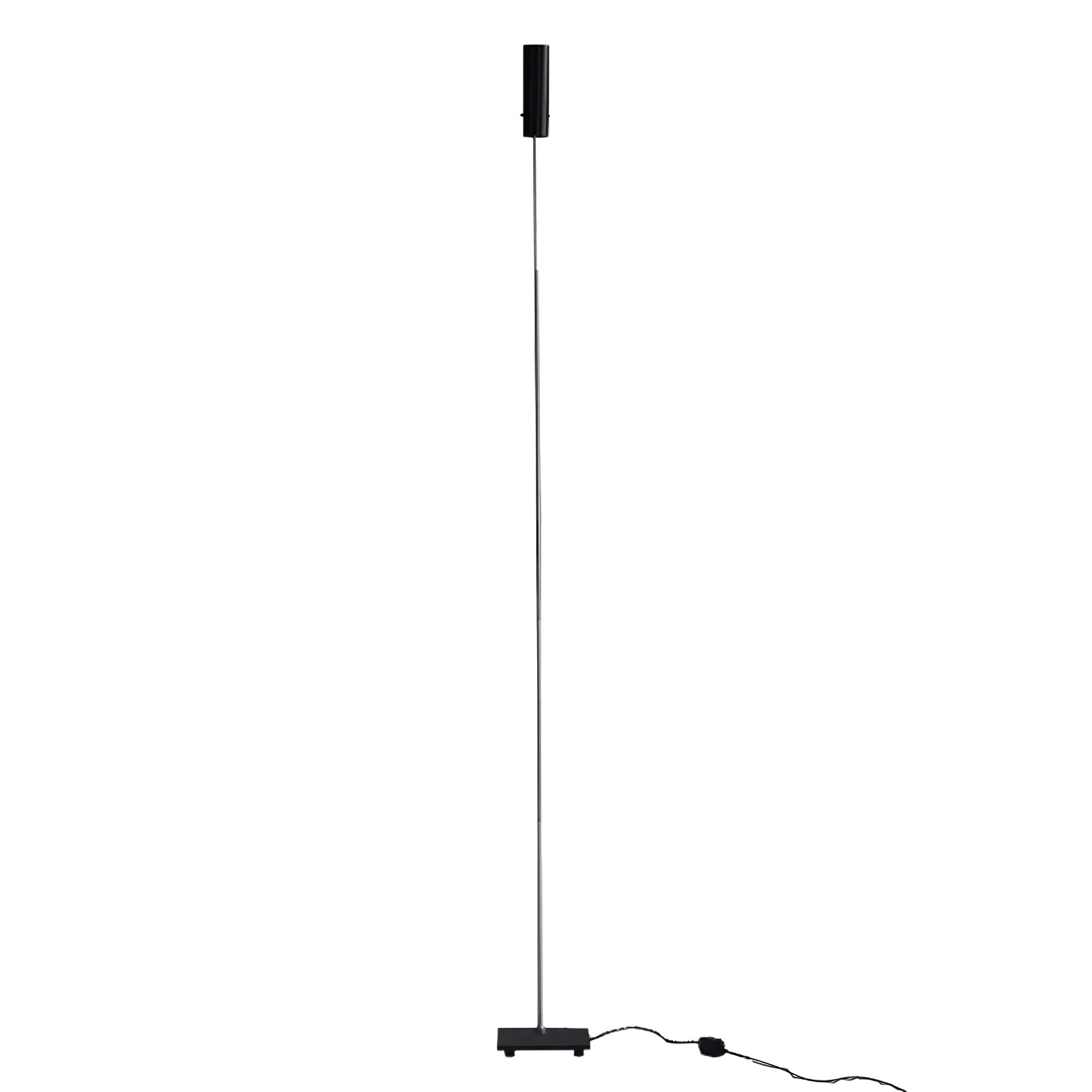 Telum Minimalist Black Floor Lamp-Neutral Decor