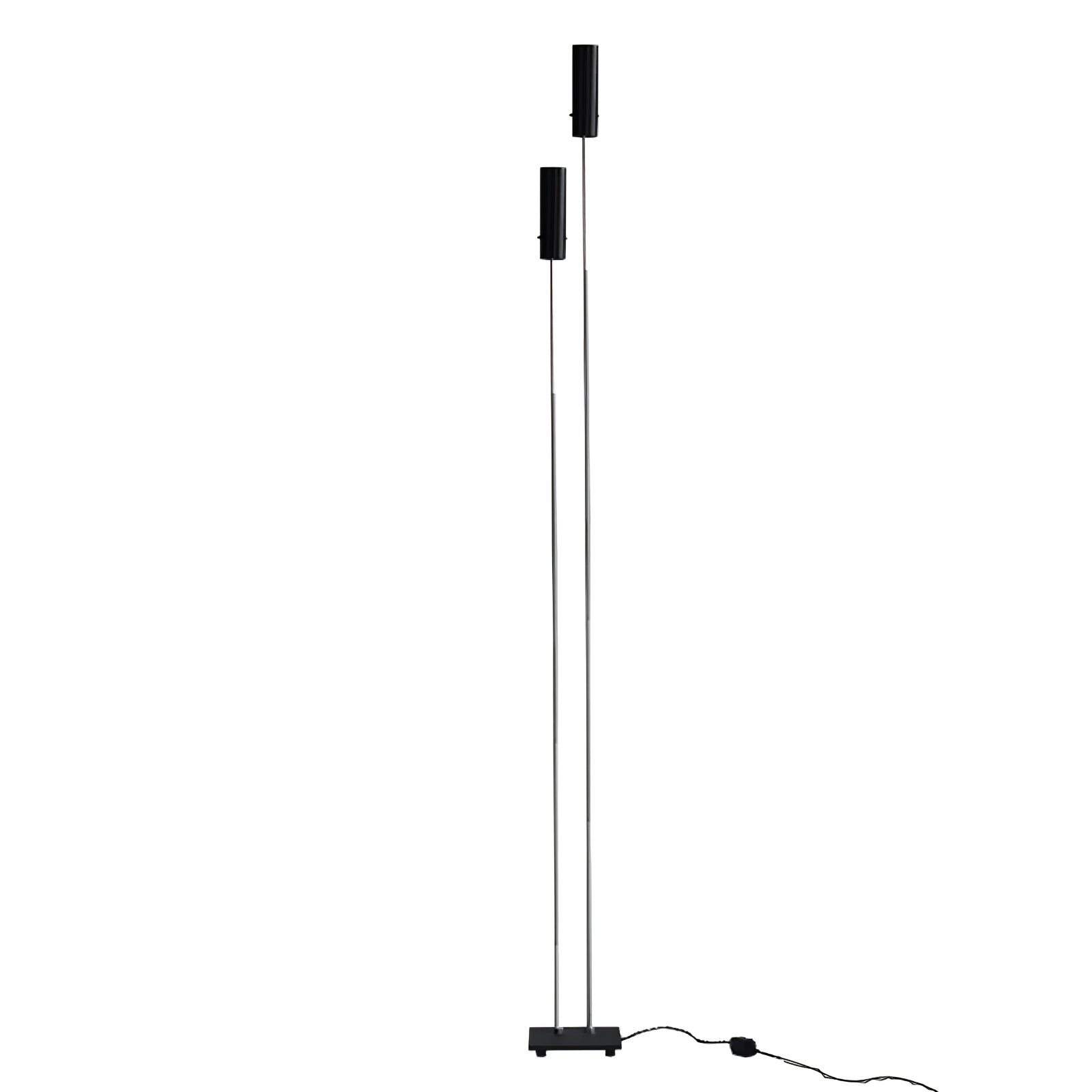 Telum Minimalist Black Floor Lamp-Neutral Decor