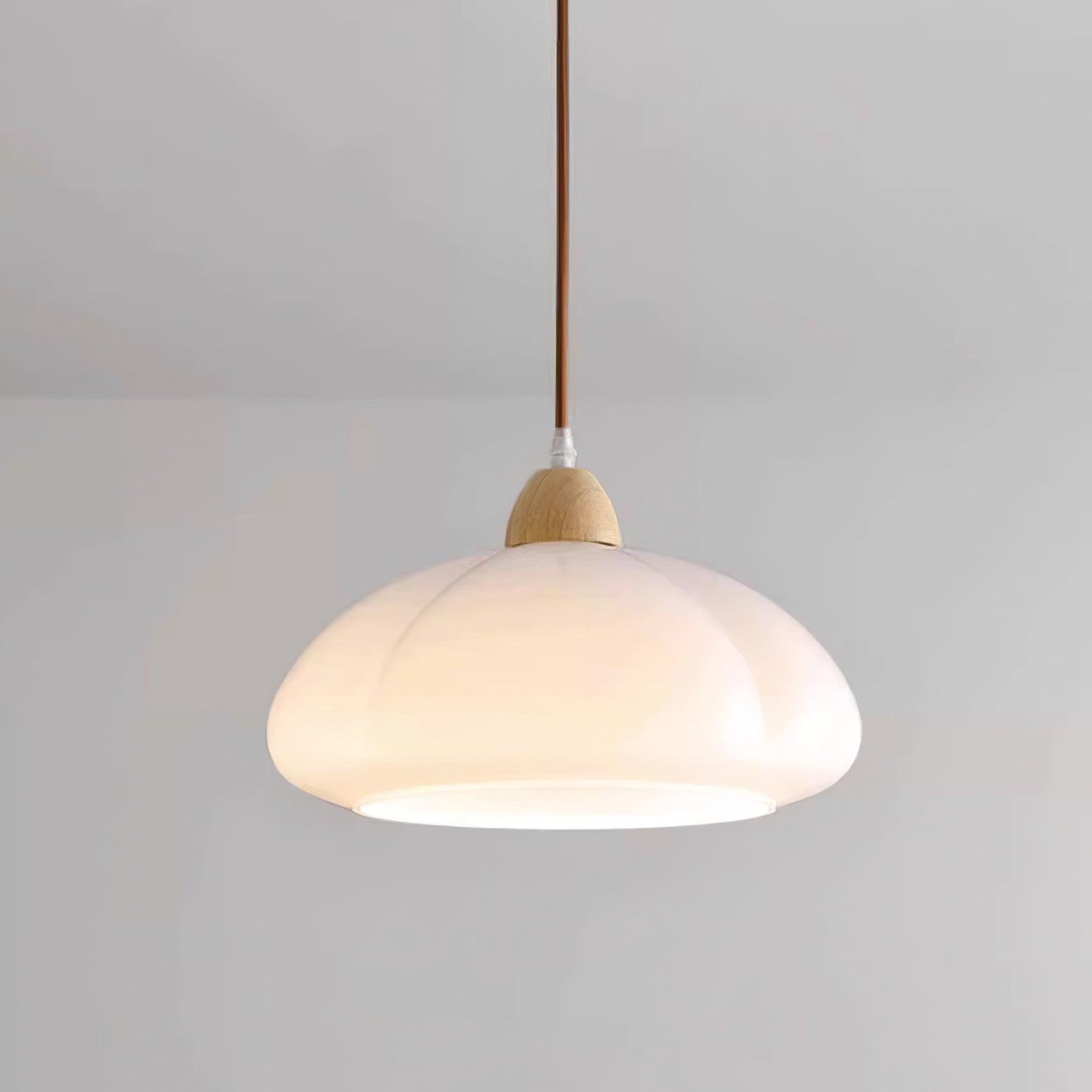 Pendant Lamp Rounded Glass Shade Wood Accent Playful Modern Touch