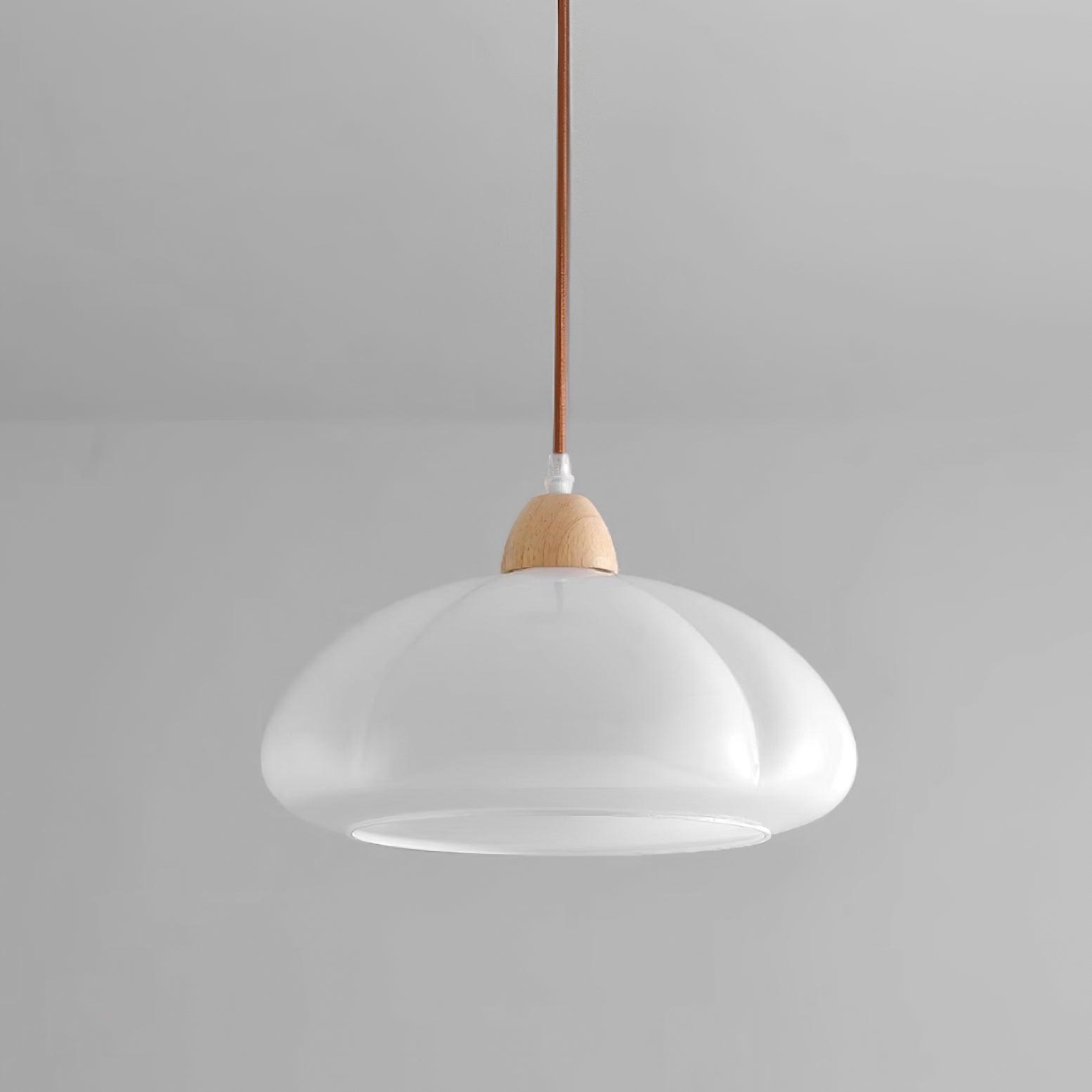 Pendant Lamp Rounded Glass Shade Wood Accent Playful Modern Touch