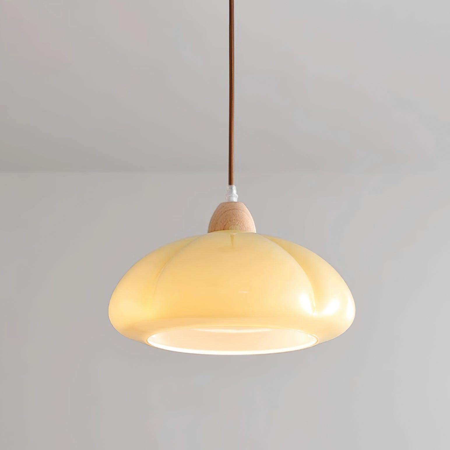 Pendant Lamp Rounded Glass Shade Wood Accent Playful Modern Touch