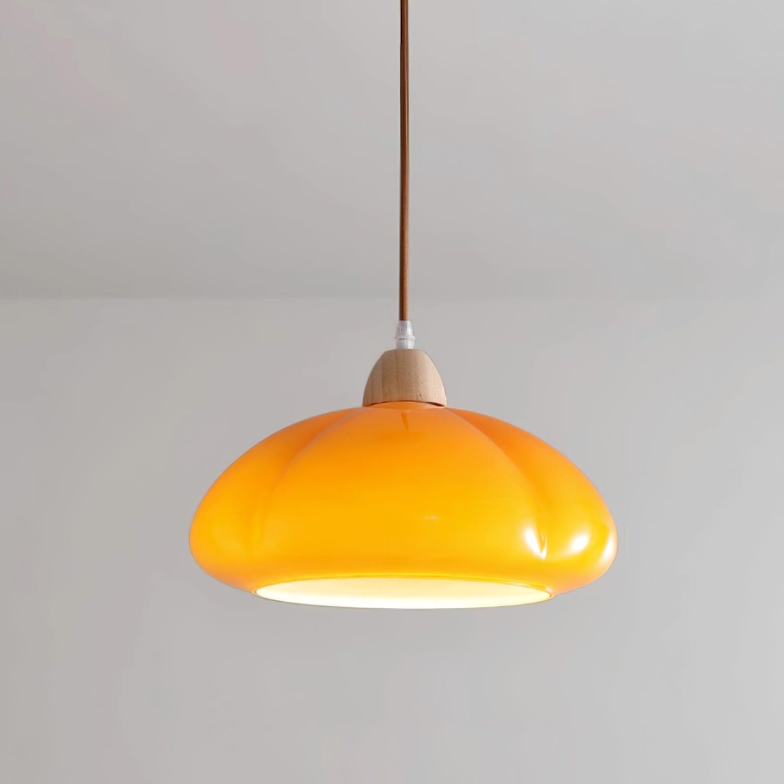 Pendant Lamp Rounded Glass Shade Wood Accent Playful Modern Touch
