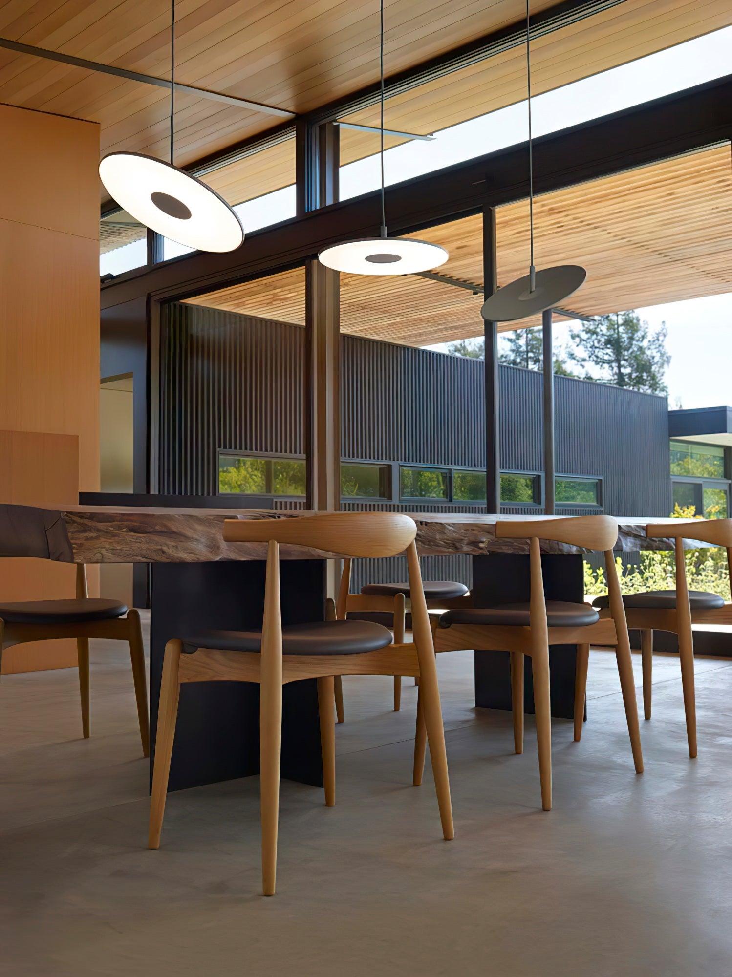 Vosolus Minimalist Pendant Light-Neutral Decor