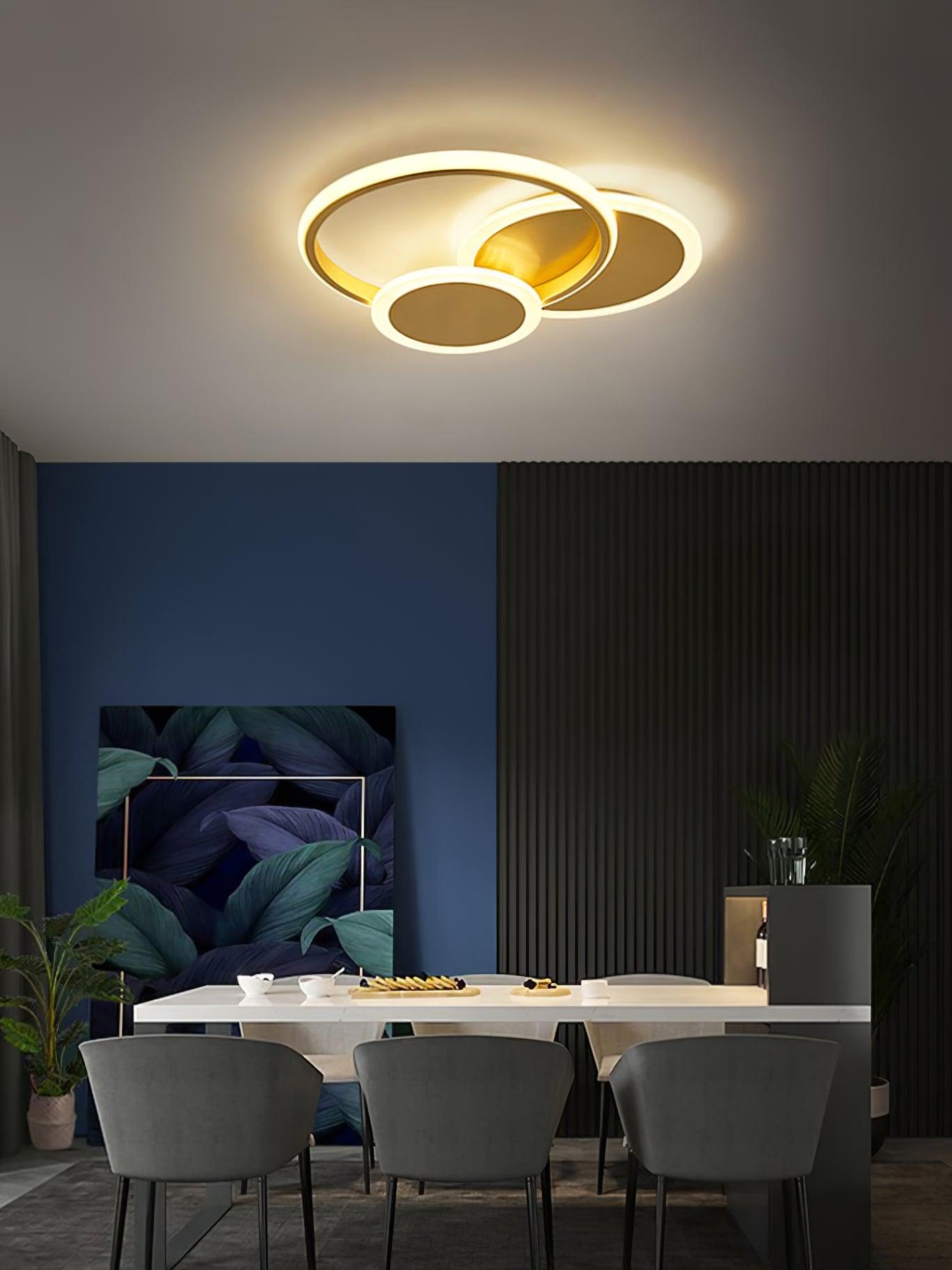 Insk Art Circles LED Ceiling Light-Neutral Decor