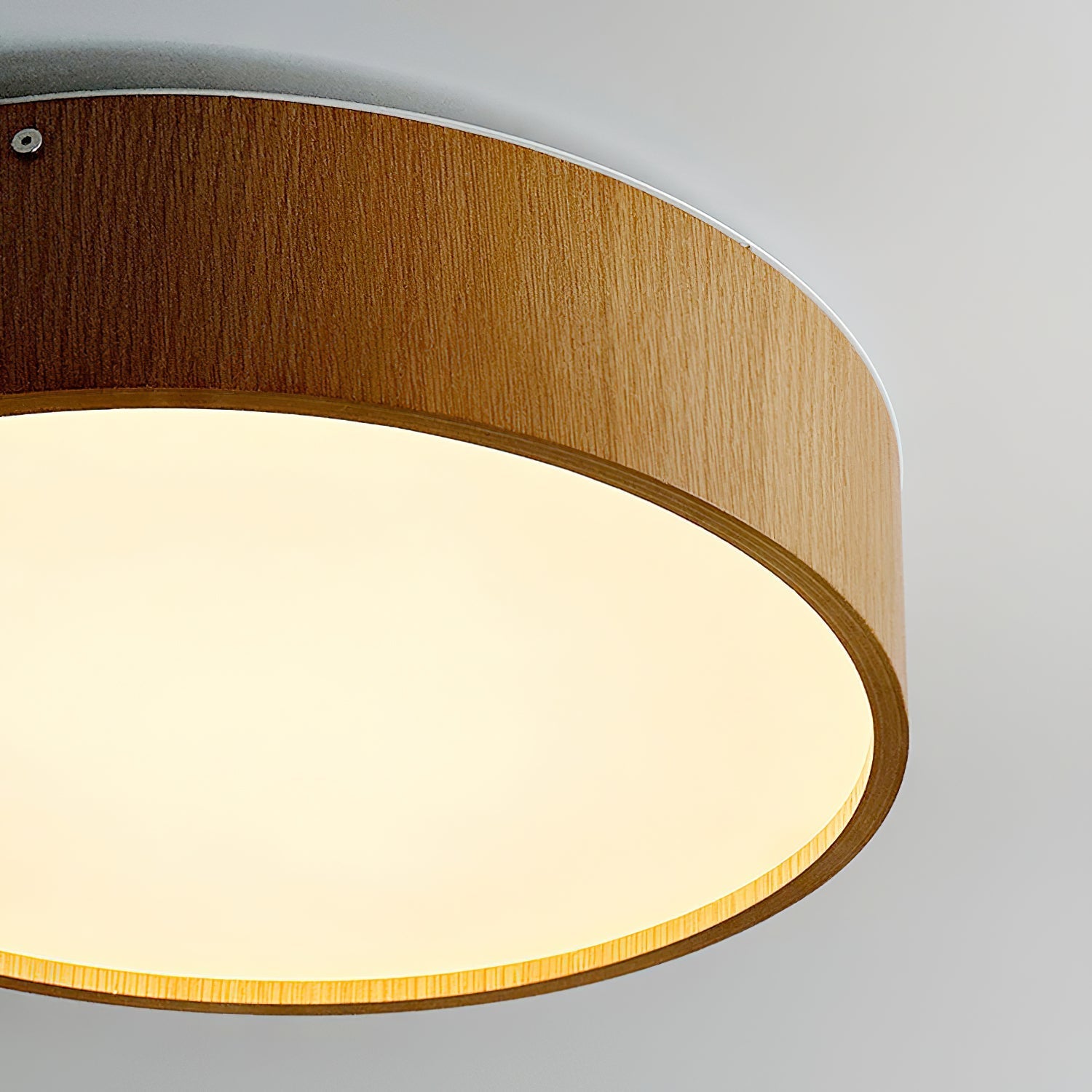 Corwin Flush Mount Ceiling Lamp