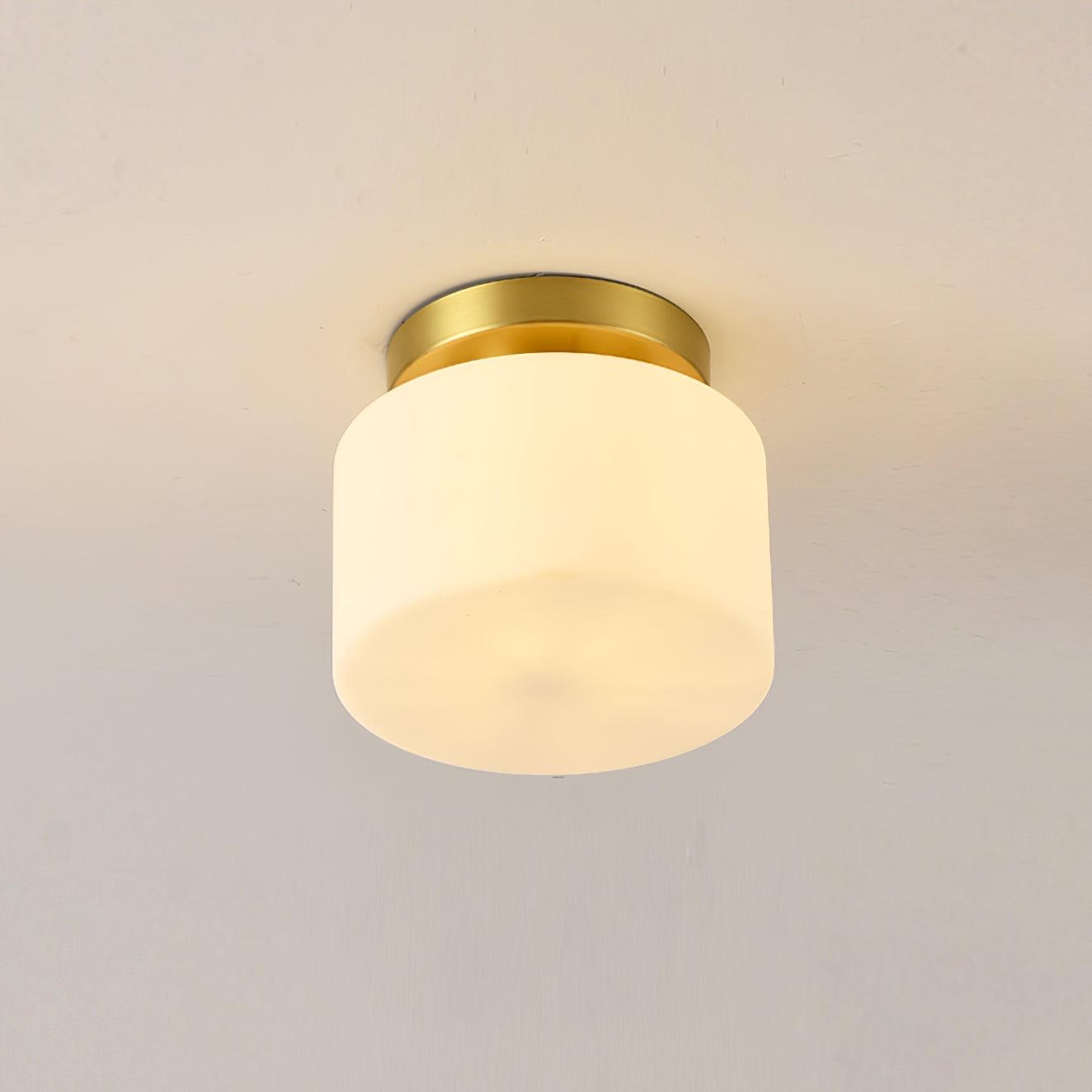 Elsilisra Nordic Art Brass Glass Flush Mount Ceiling Light-Neutral Decor