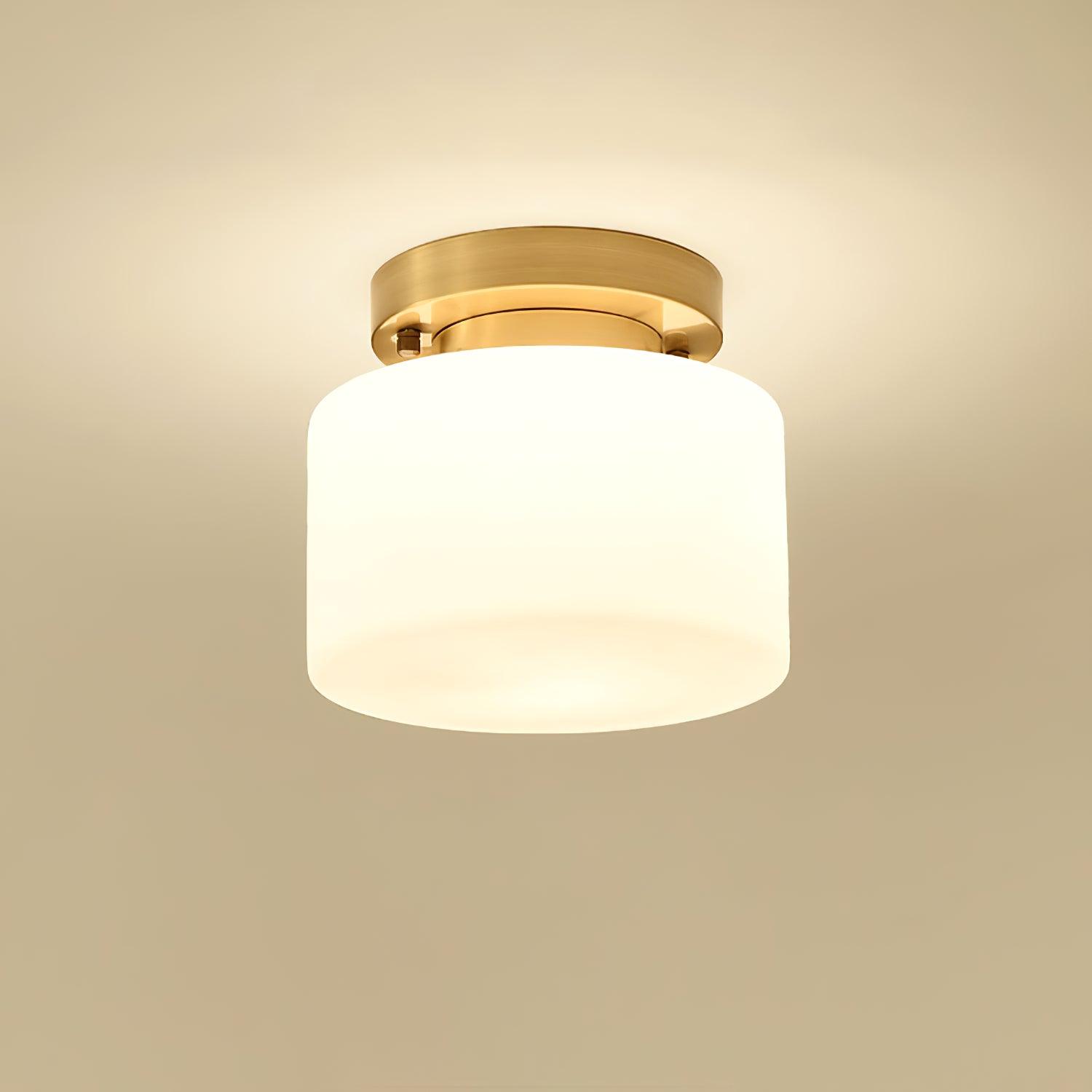 Elsilisra Nordic Art Brass Glass Flush Mount Ceiling Light-Neutral Decor