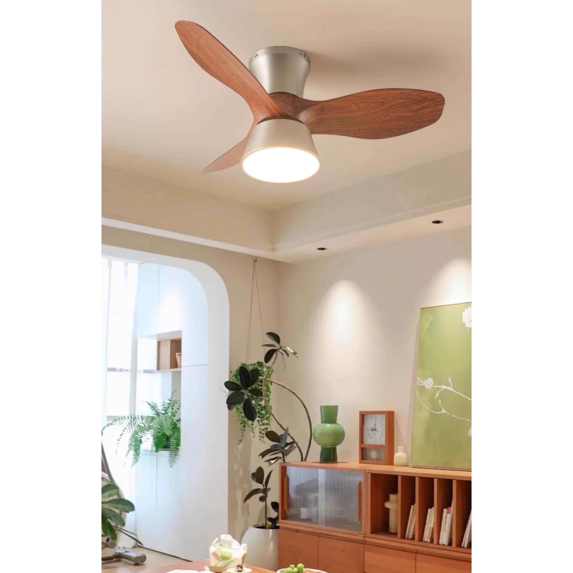 Zanorir  Ceiling Fan Light