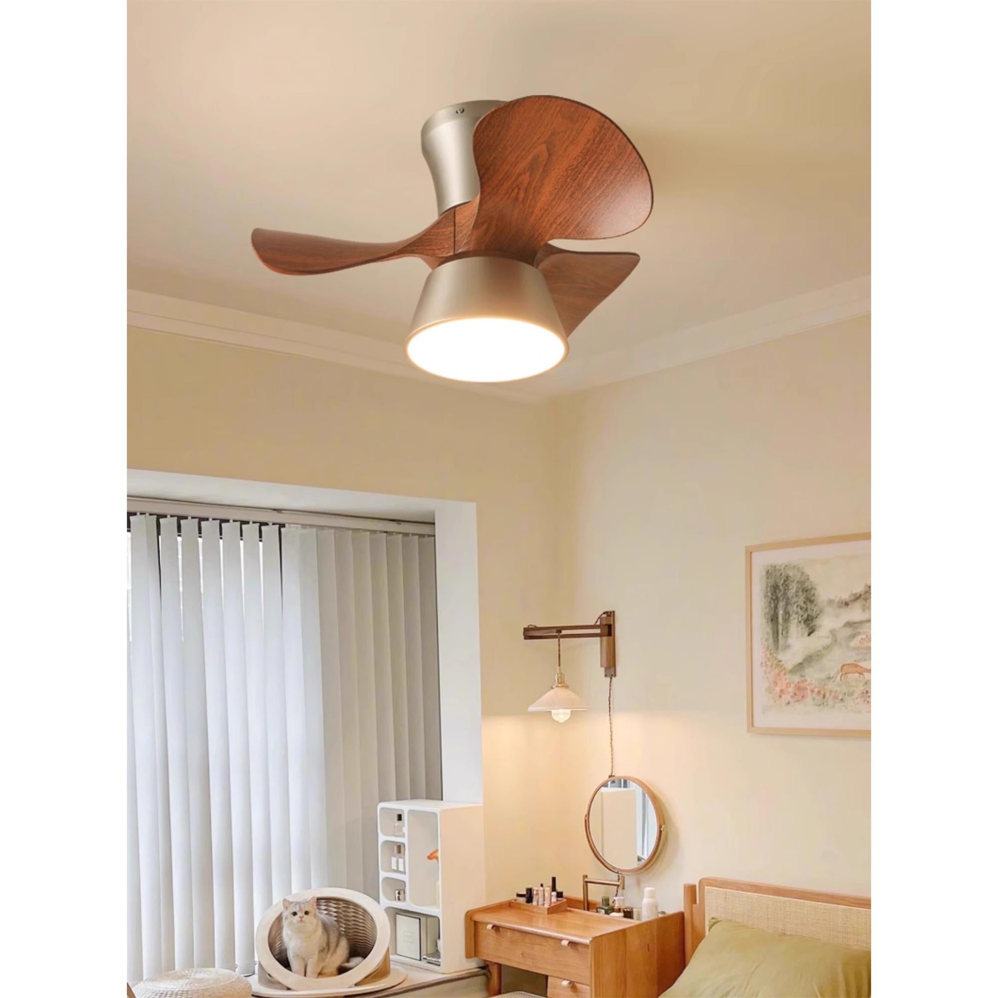 Zanorir  Ceiling Fan Light
