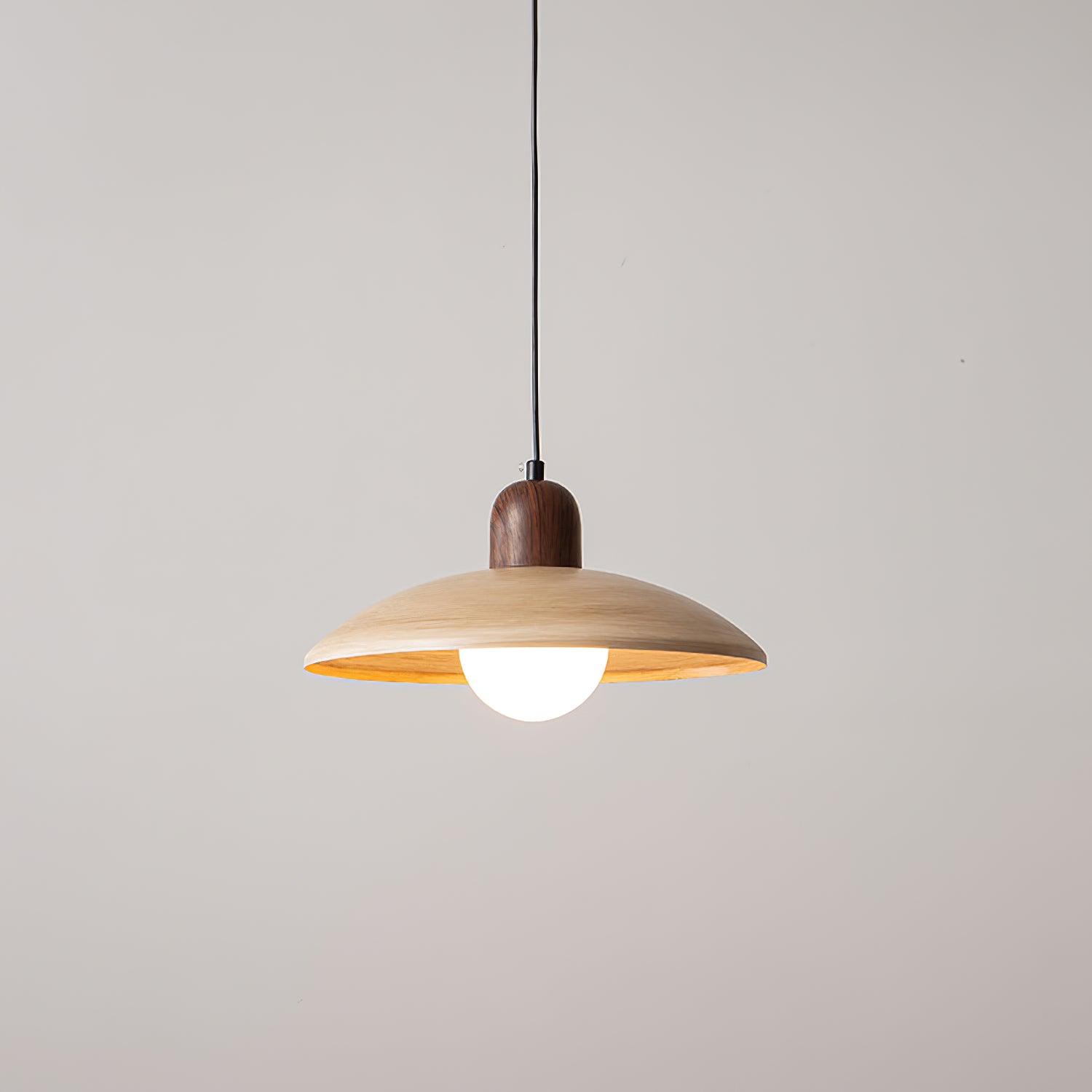 Norrin  Dome Pendant Light