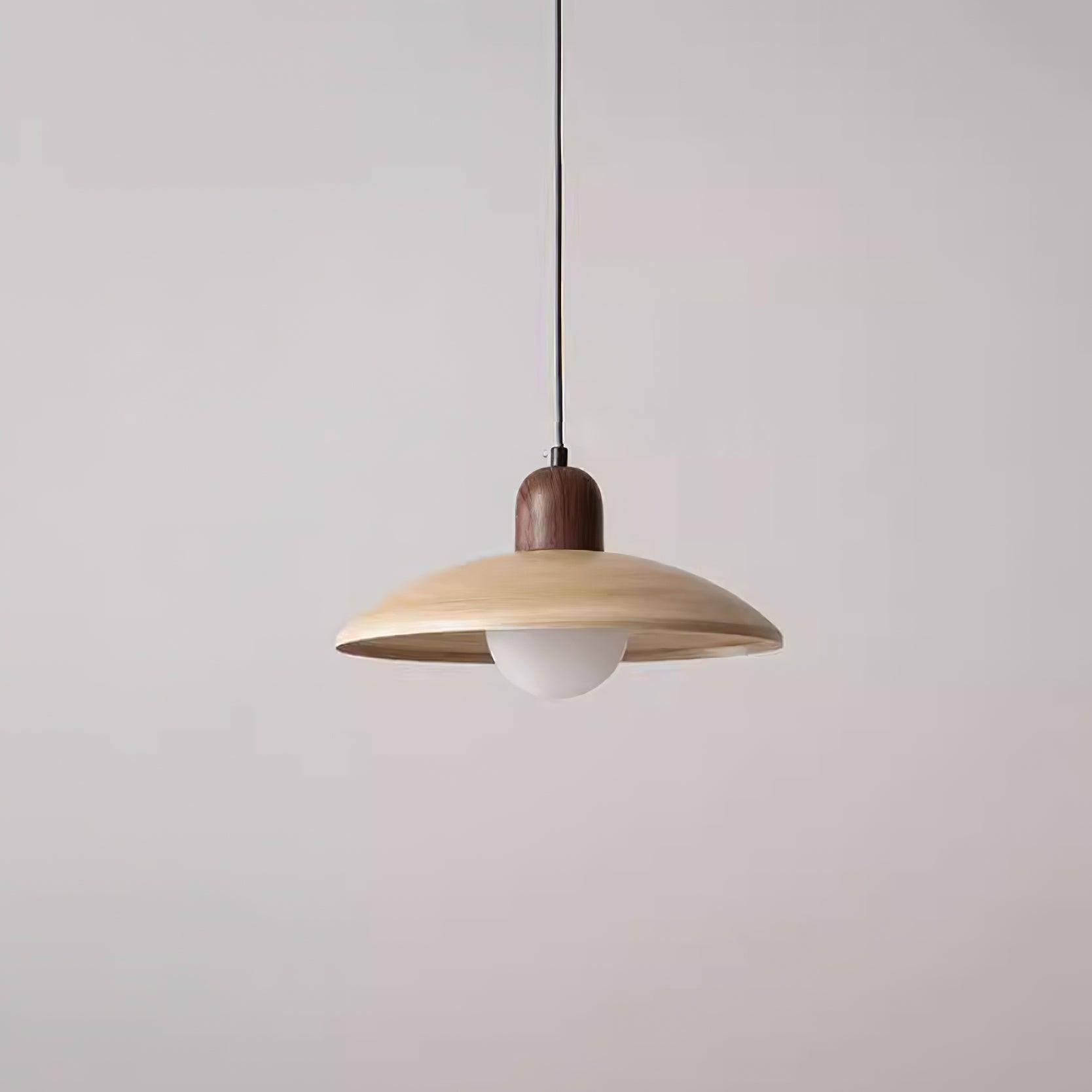 Norrin  Dome Pendant Light