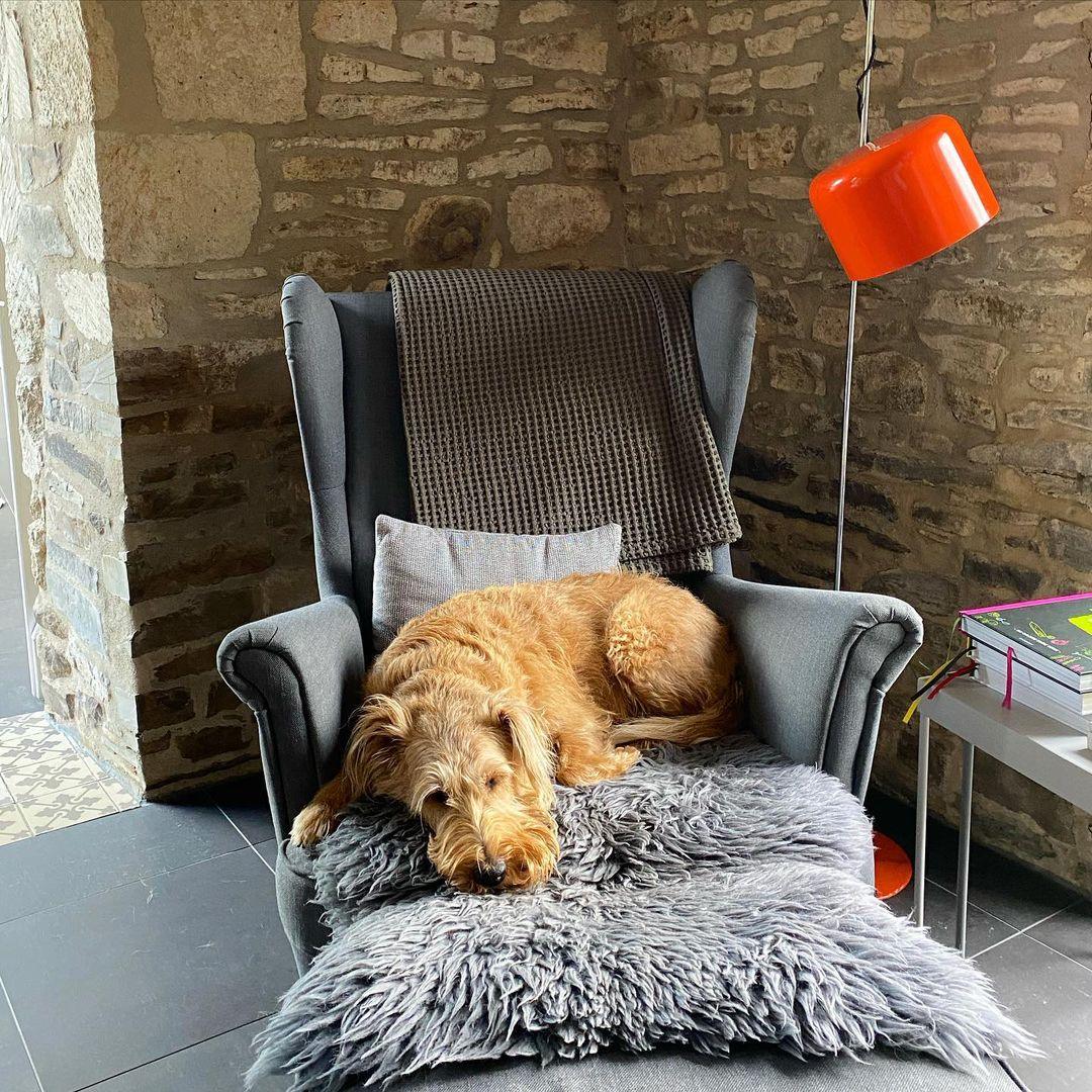 Noelle Floor Lamp