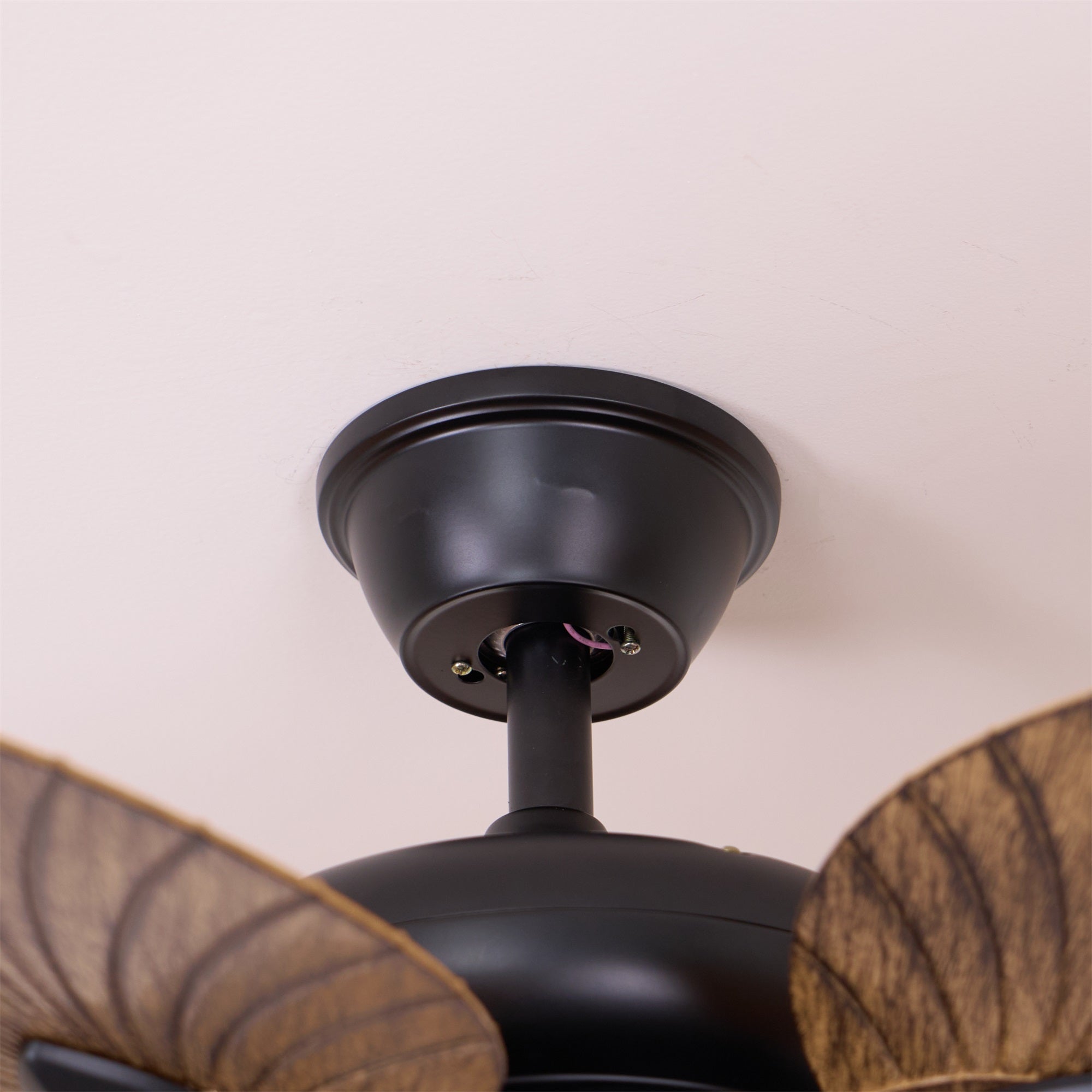 Kai Ceiling Fan Light