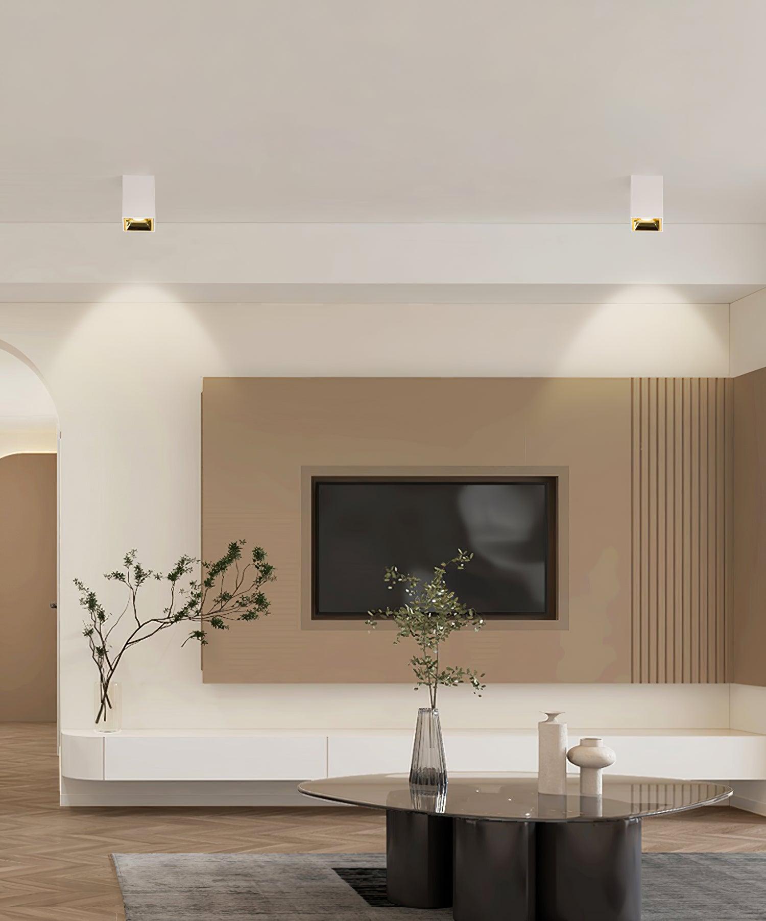 Tesk Ceiling Light Cube Square Black Spotlight-Neutral Decor