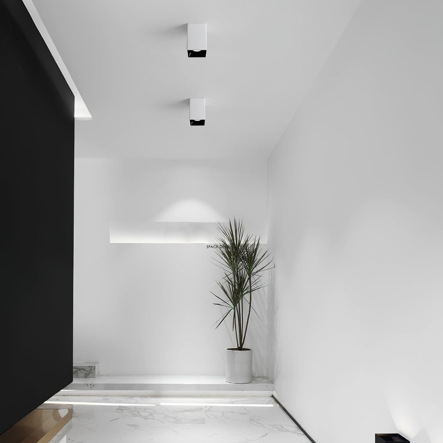 Tesk Ceiling Light Cube Square Black Spotlight-Neutral Decor