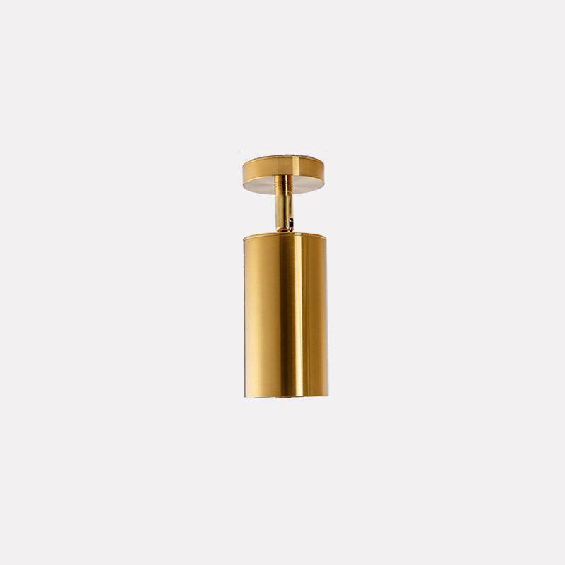 Ezveno Modern Minimalist Brass Ceiling Lamp-Neutral Decor