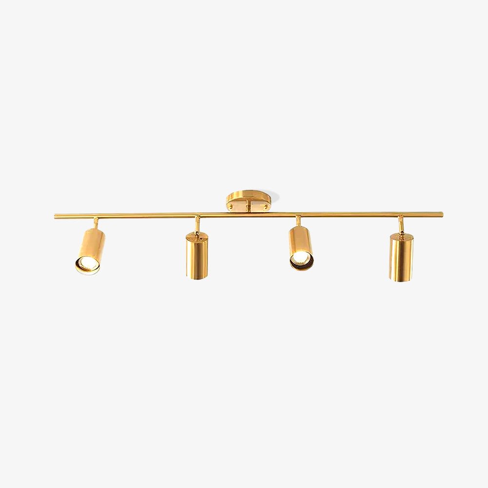 Ezveno Modern Minimalist Brass Ceiling Lamp-Neutral Decor