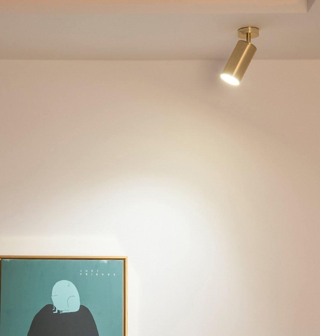 Grover Rotatable Brass Spotlight Wall Light-Neutral Decor