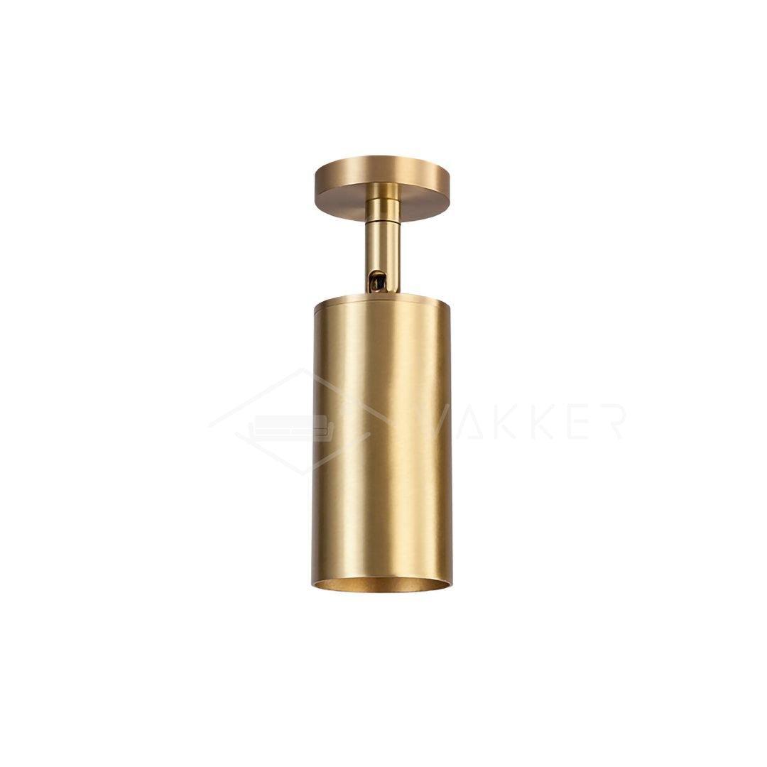 Ezveno Modern Minimalist Brass Ceiling Lamp-Neutral Decor