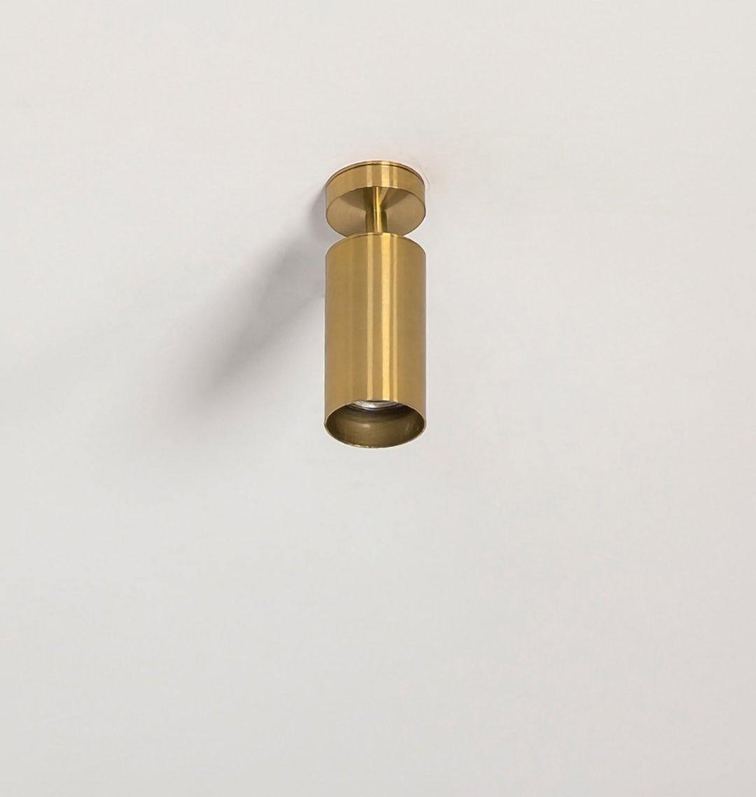 Ezveno Modern Minimalist Brass Ceiling Lamp-Neutral Decor