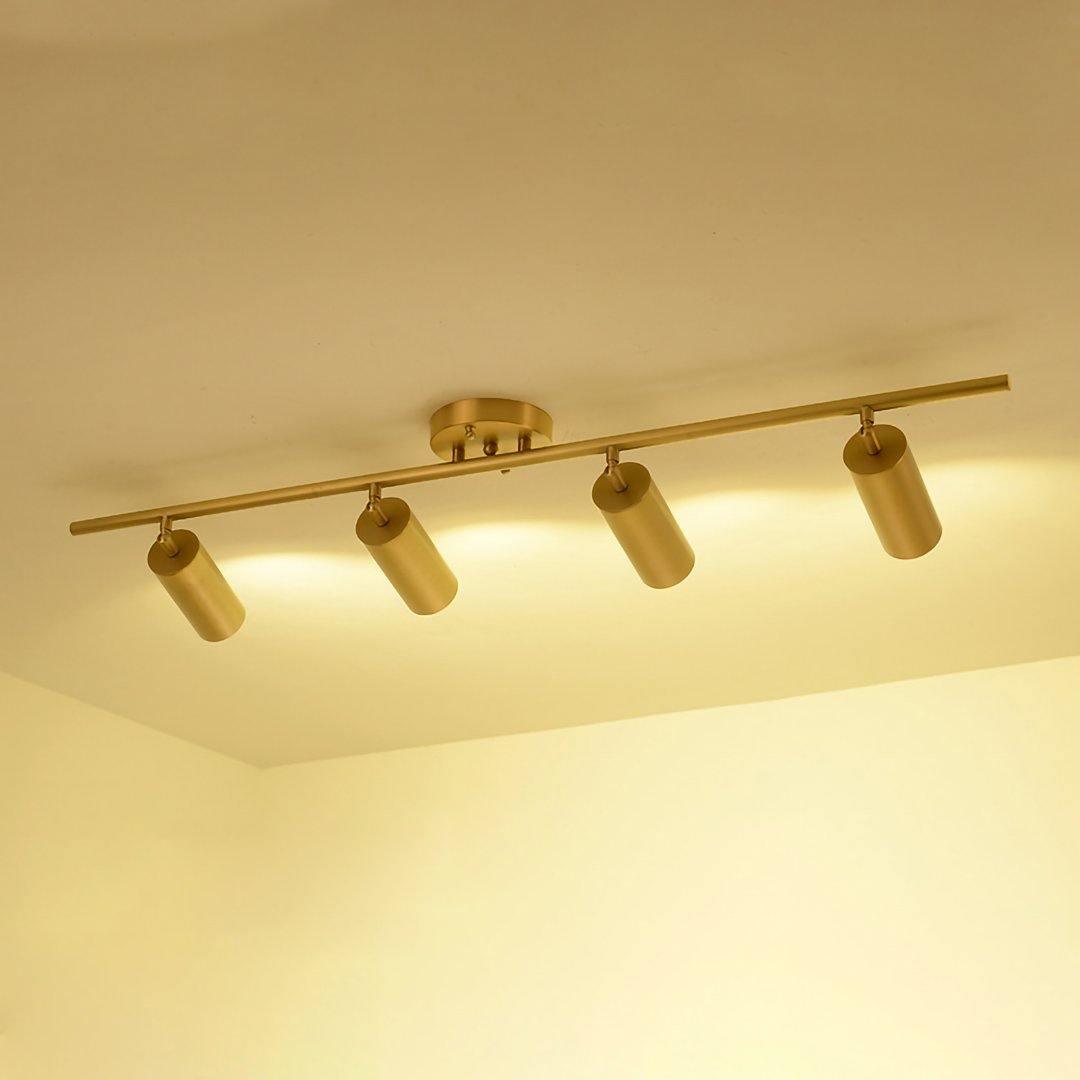 Ezveno Modern Minimalist Brass Ceiling Lamp-Neutral Decor