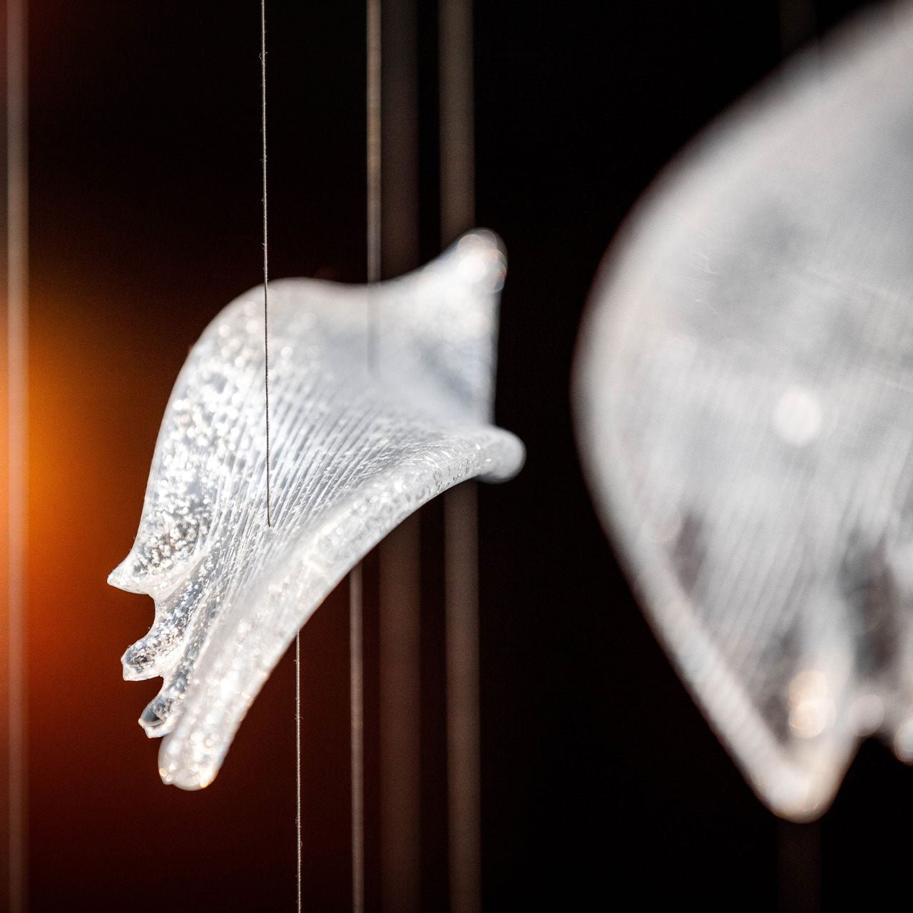 Zathaara Glass Feather Shape Chandelier-Neutral Decor