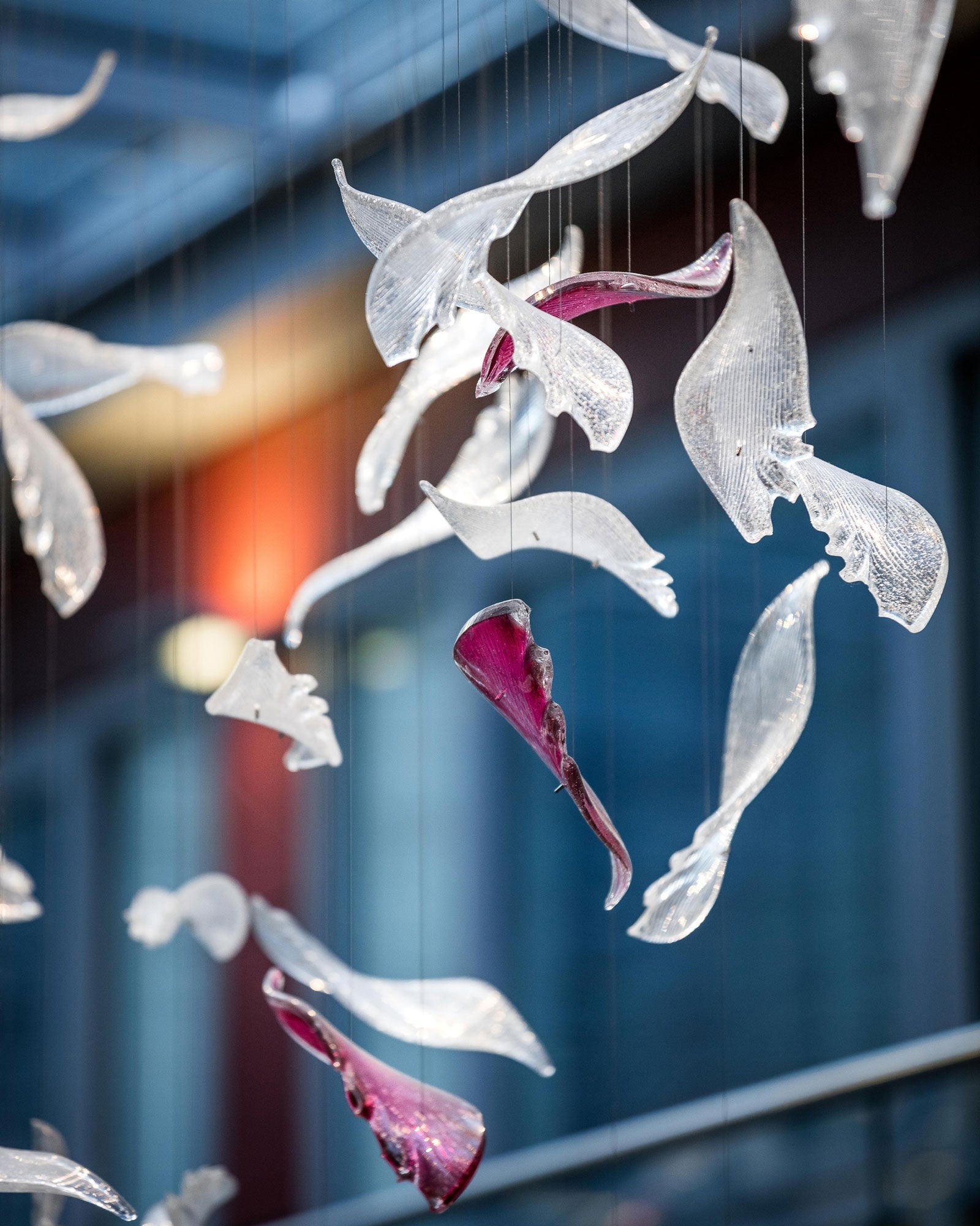 Zathaara Glass Feather Shape Chandelier-Neutral Decor