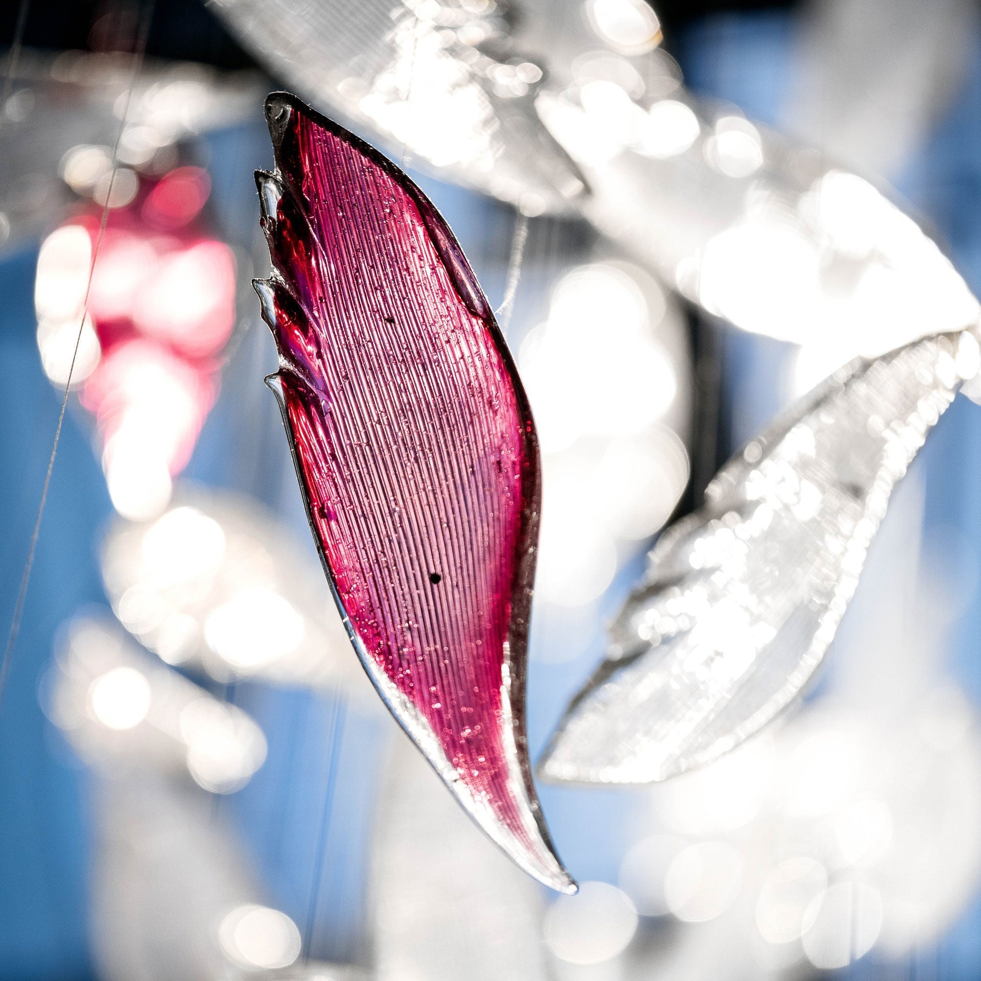 Zathaara Glass Feather Shape Chandelier-Neutral Decor
