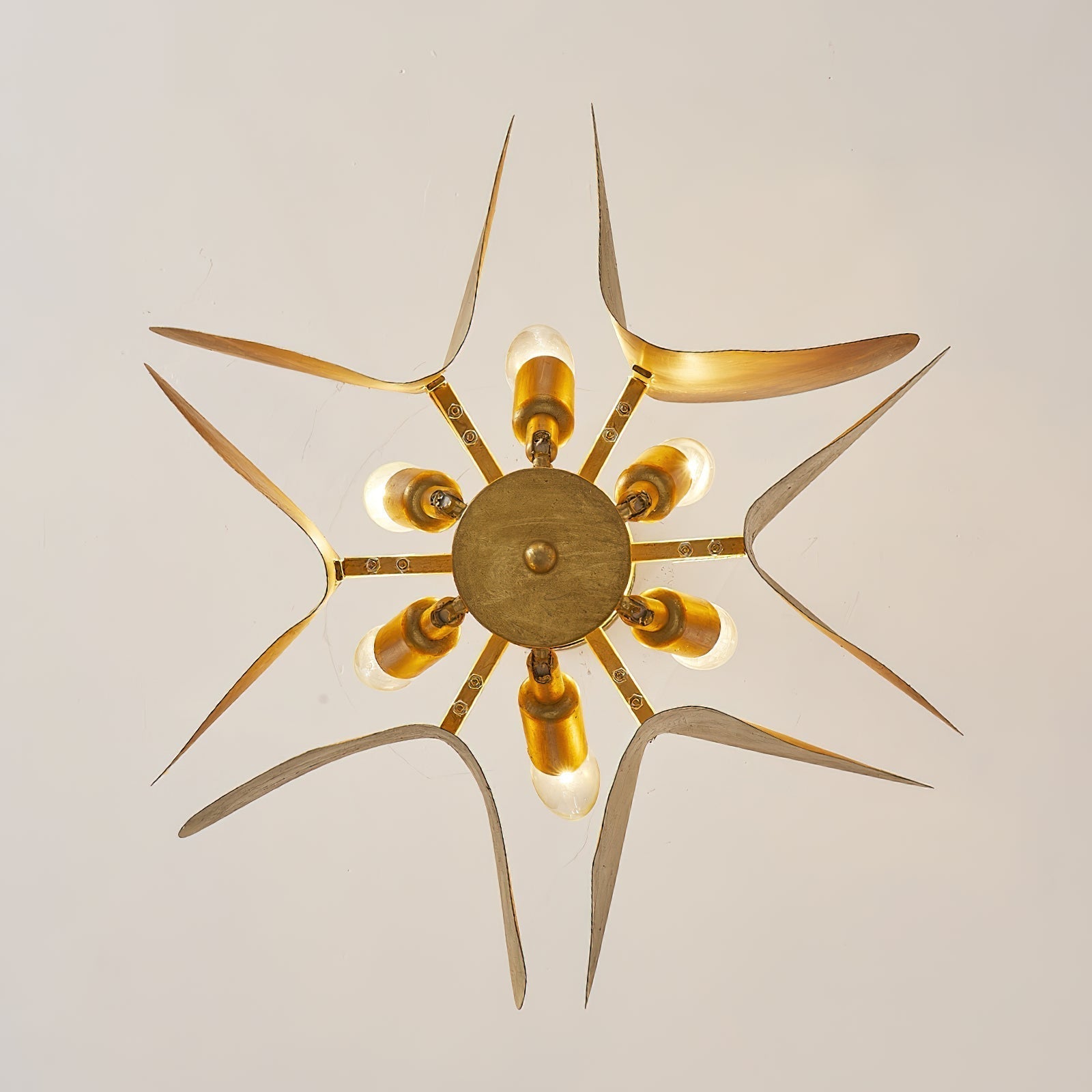 Opus Art Chandelier