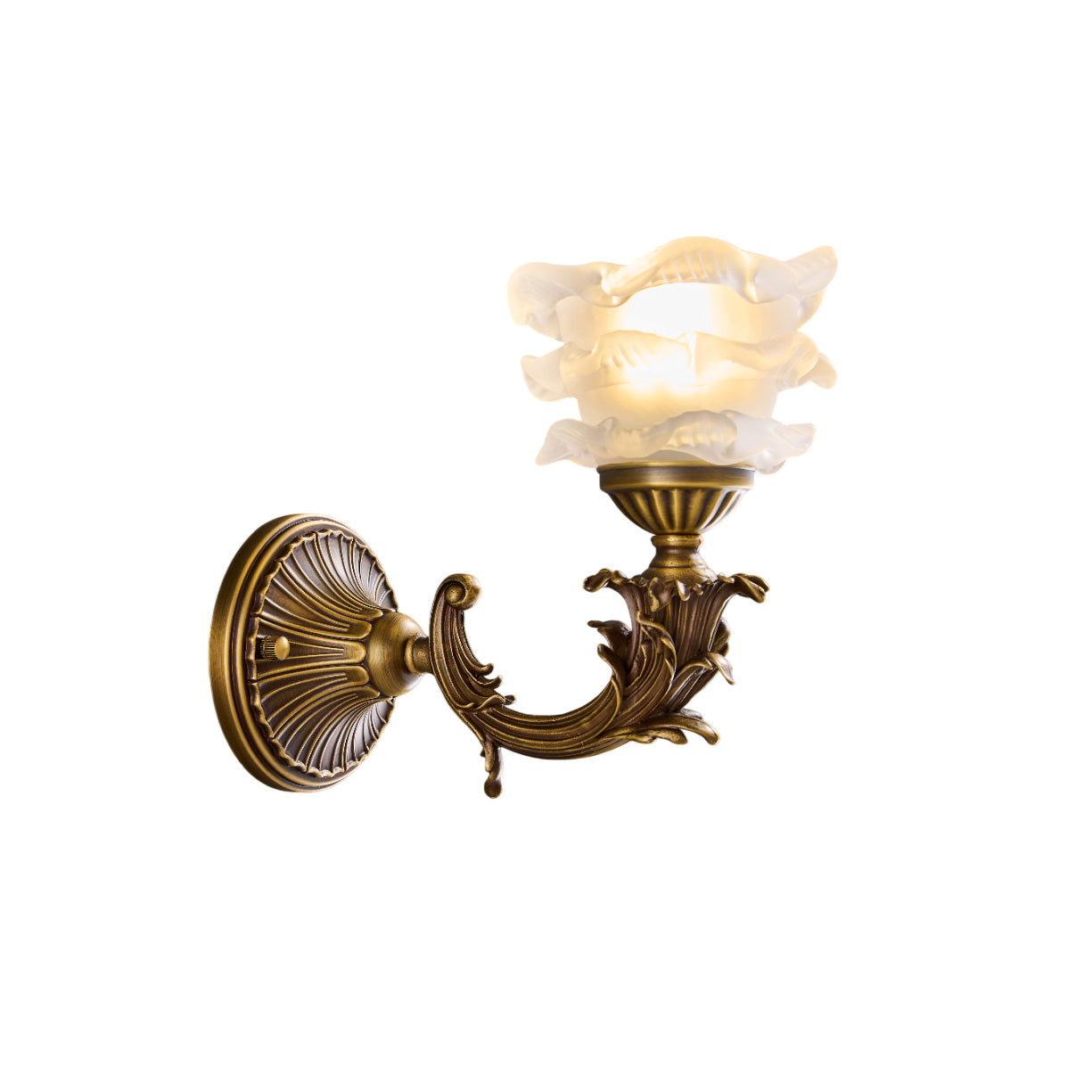 The Darwin Wall Lamp against a light, textured wall.