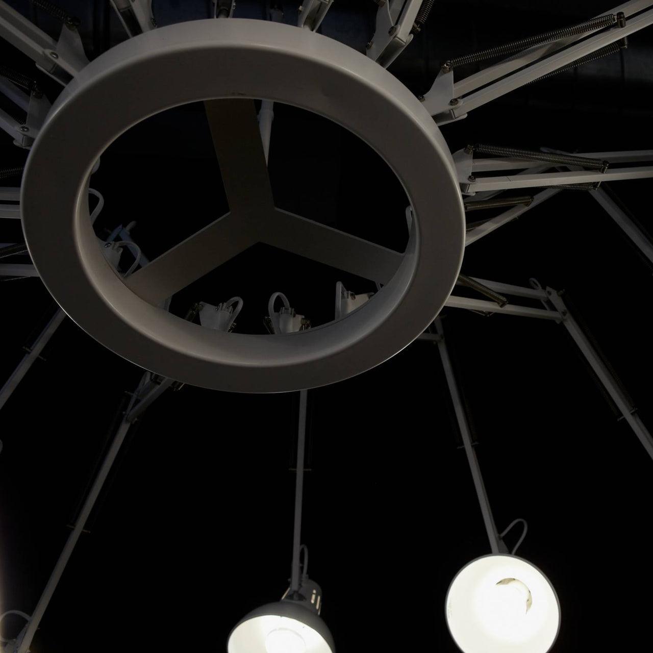 Livenu Chandelier Black Adjustable Multi Arm-Neutral Decor