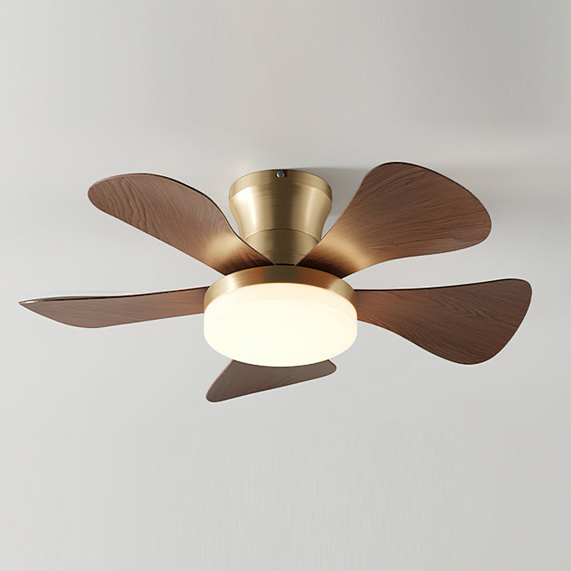 Top-down view of the Brennan Ceiling Fan Light's motor housing.