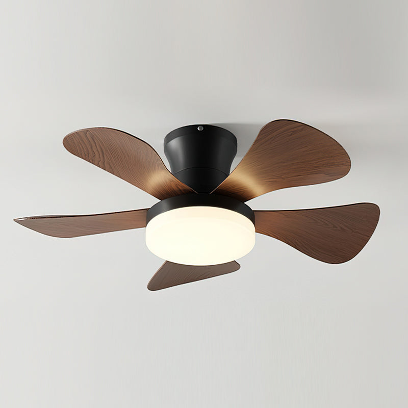 Brennan Ceiling Fan Light