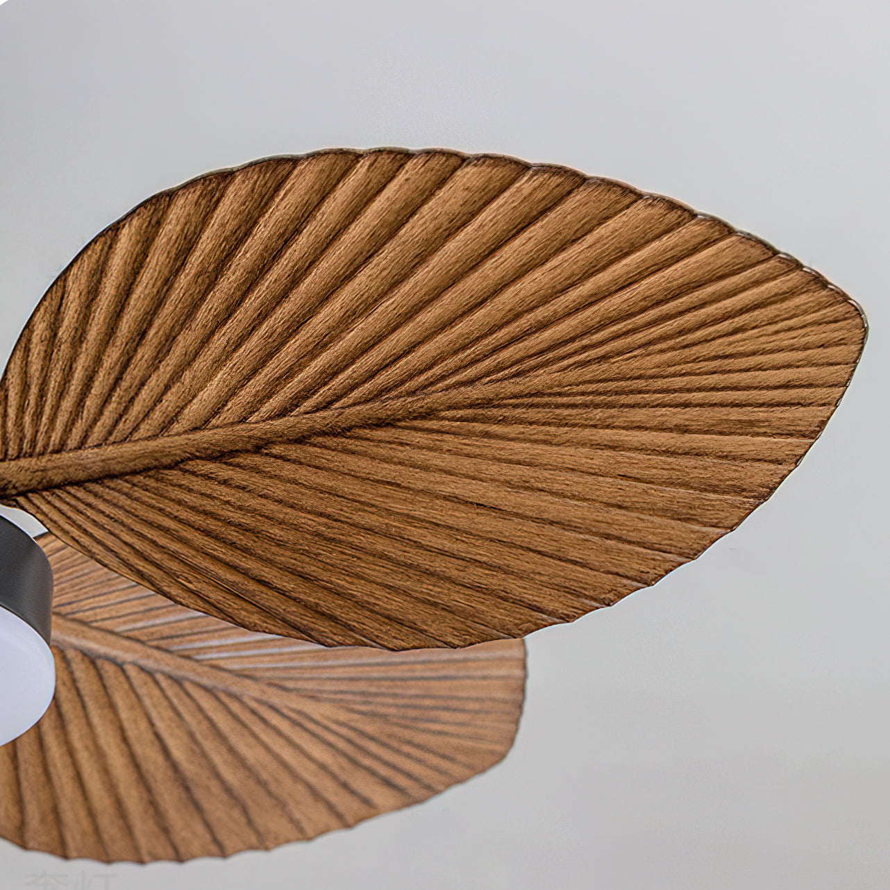 Angled view of the Maris Ceiling Fan Light, highlighting its low-profile design.
