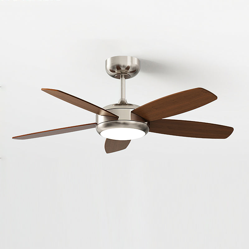 Clive Ceiling Fan Light