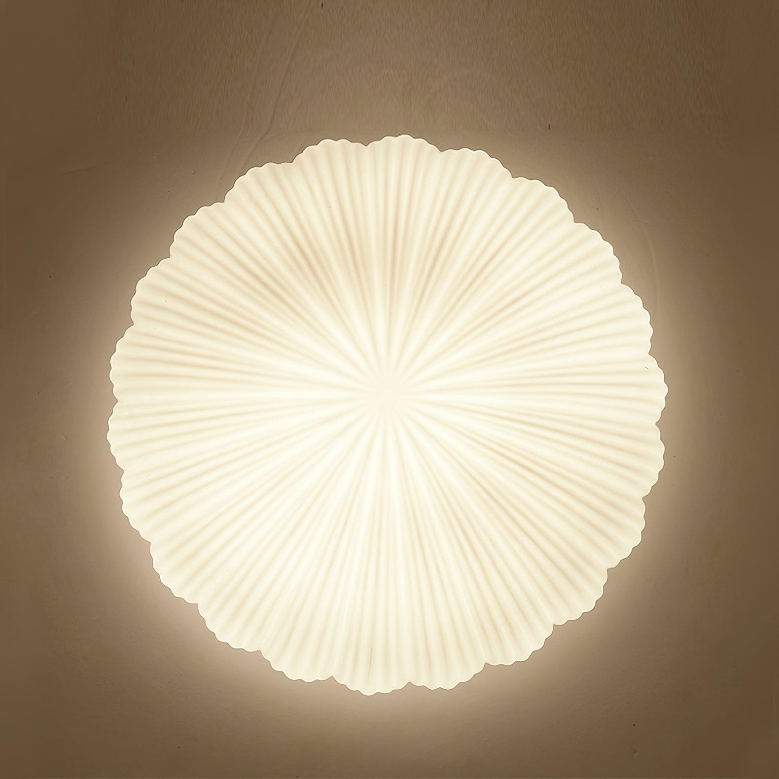 Elo Ceiling Lamp Seashell Shape Ribbed Soft Elegant-Neutral Decor