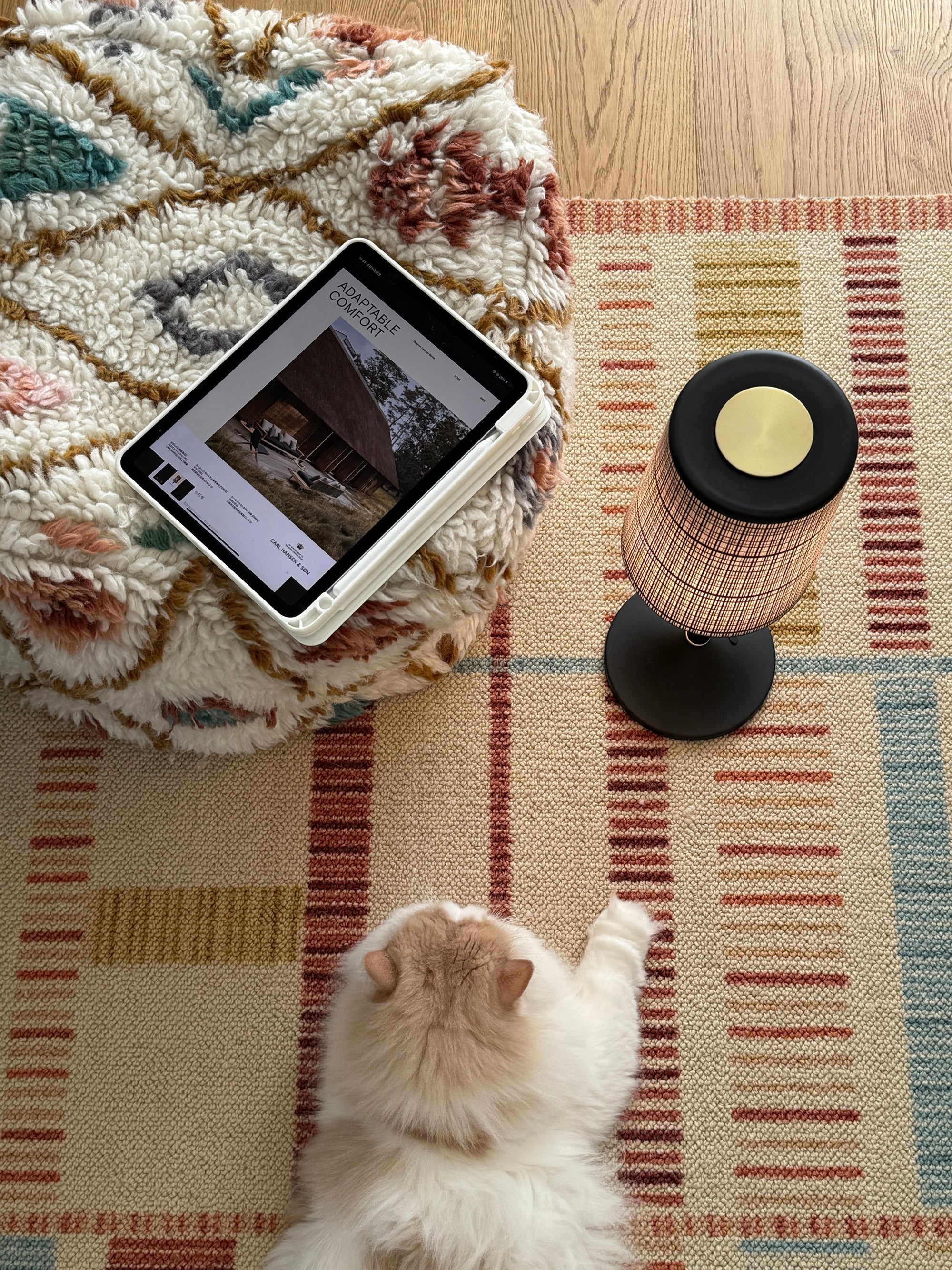 The portable Devon lamp shown on a bookshelf.