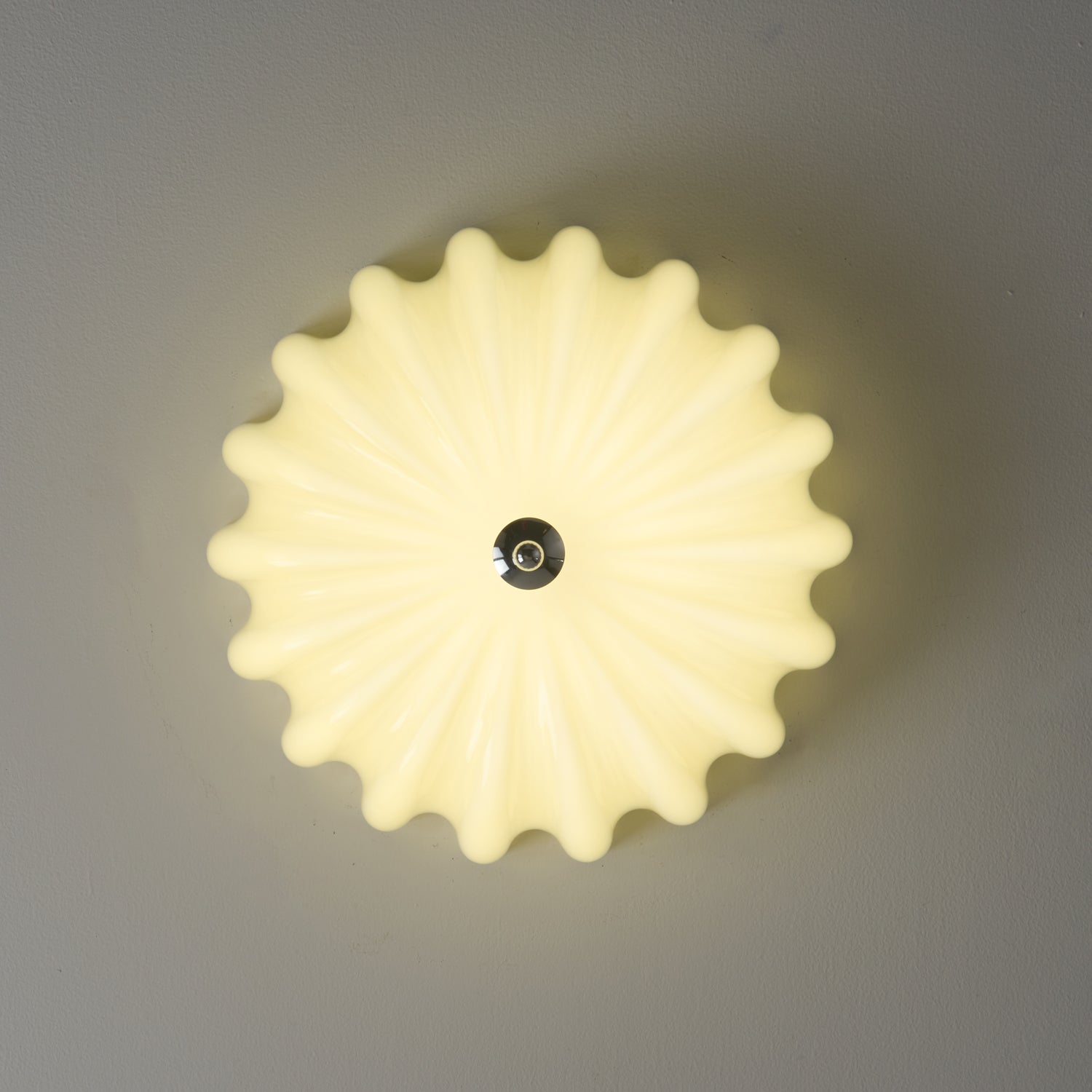 Zerinos Premium Nordic Art Shell Wood Glass Ceiling Light-Neutral Decor